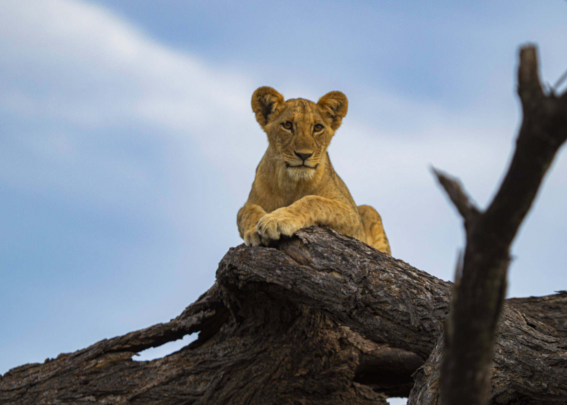 F5.0, 1/800, ISO320 | Guide Johnson Salash 