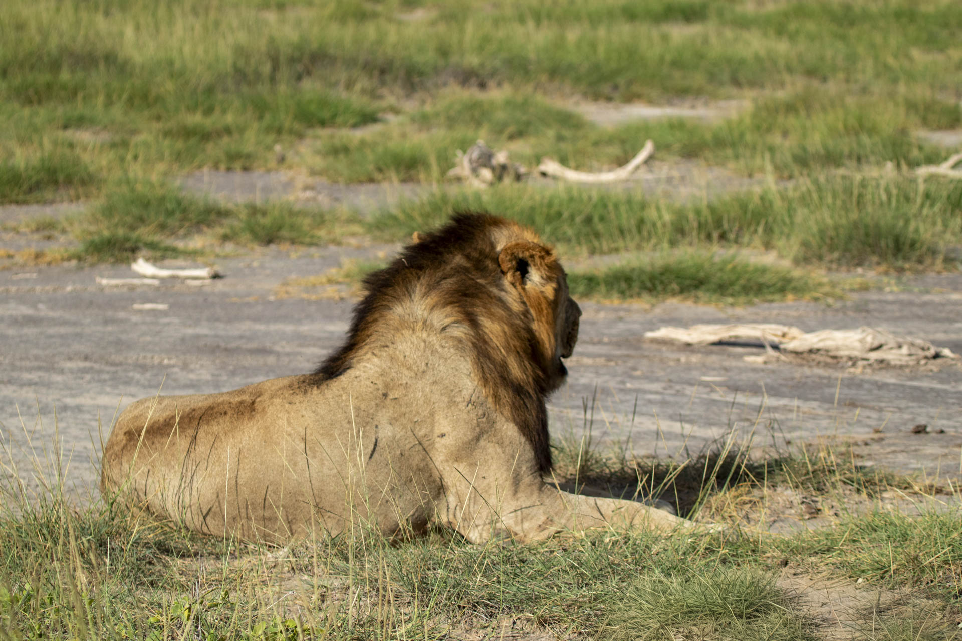 F 5.0, 1/3200, ISO 320 | Johnson Salash 