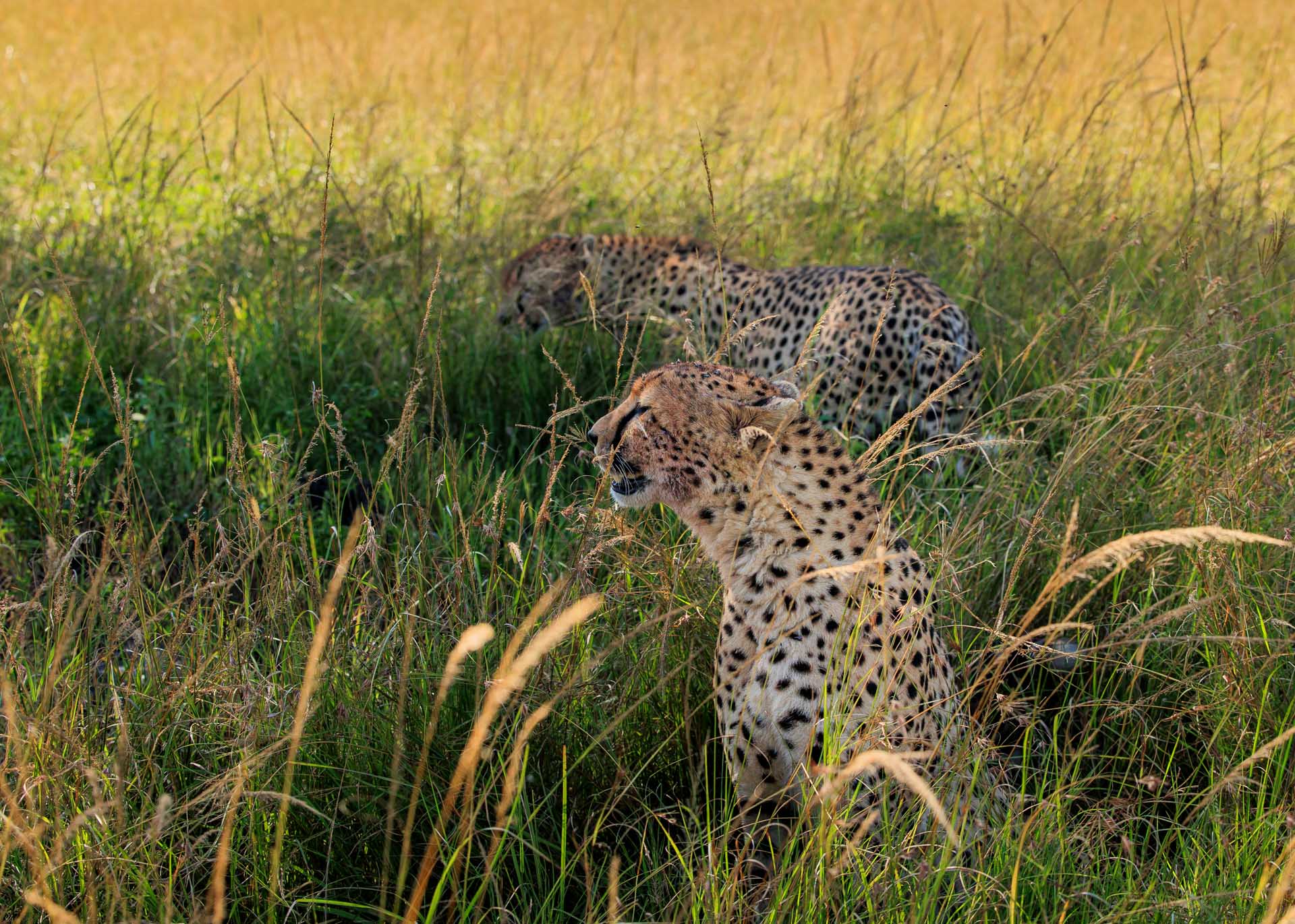 F5.6, 1/1250, ISO640 | Marvin Mwarangu 
