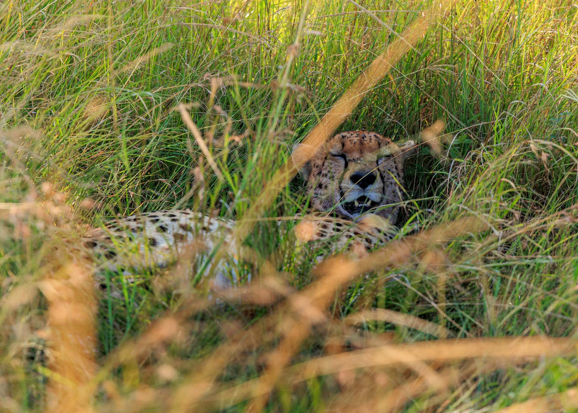 F5.6, 1/1250, ISO640 | Marvin Mwarangu 