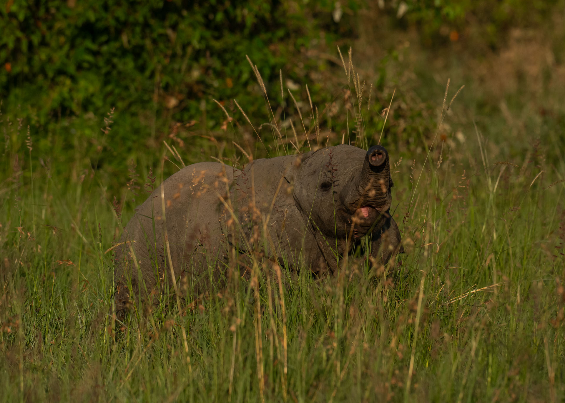 F8.0, 1/3200, ISO400 | Marvin Mwarangu 