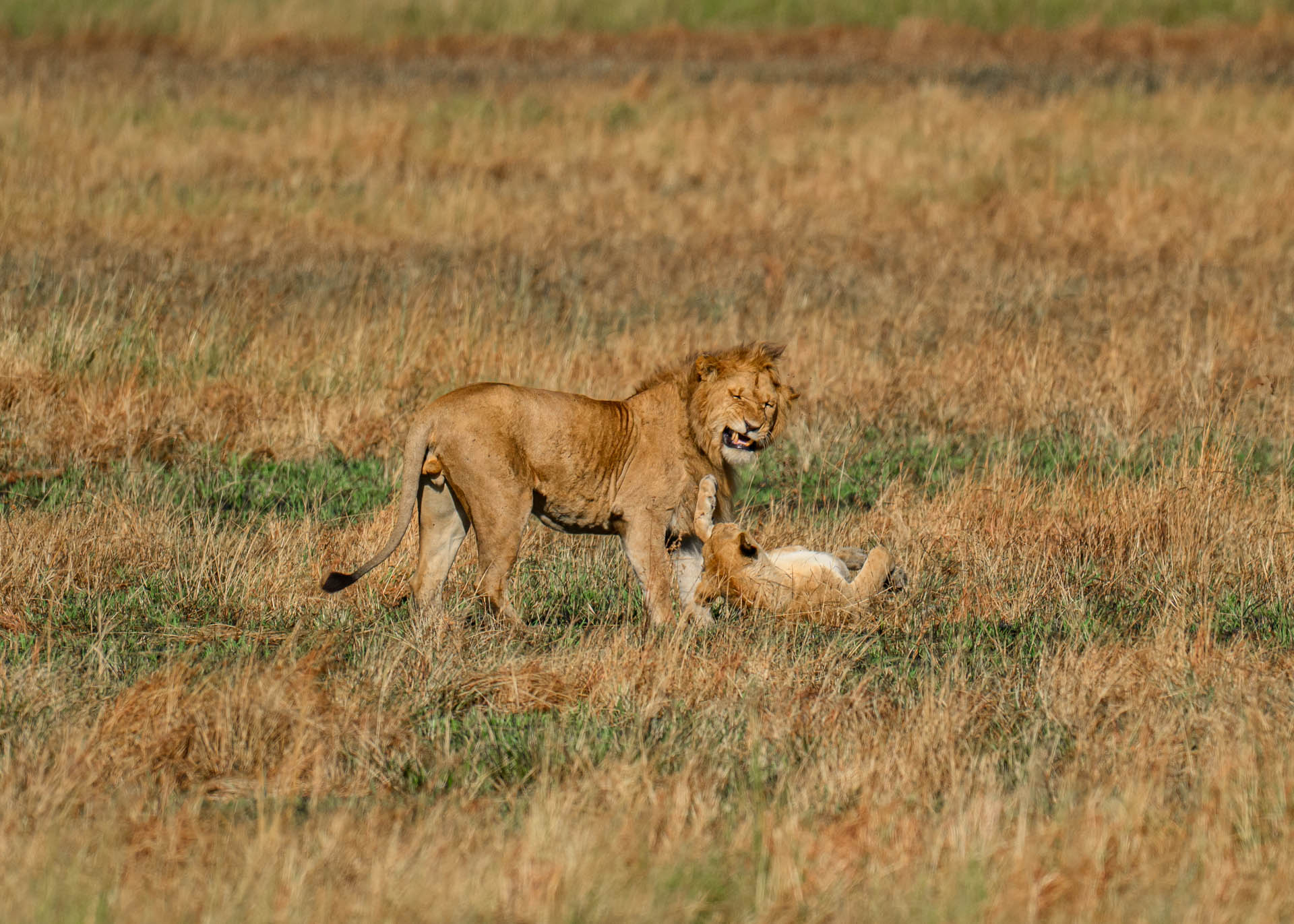 F7.1, 1/3200, ISO400 | Marvin Mwarangu 