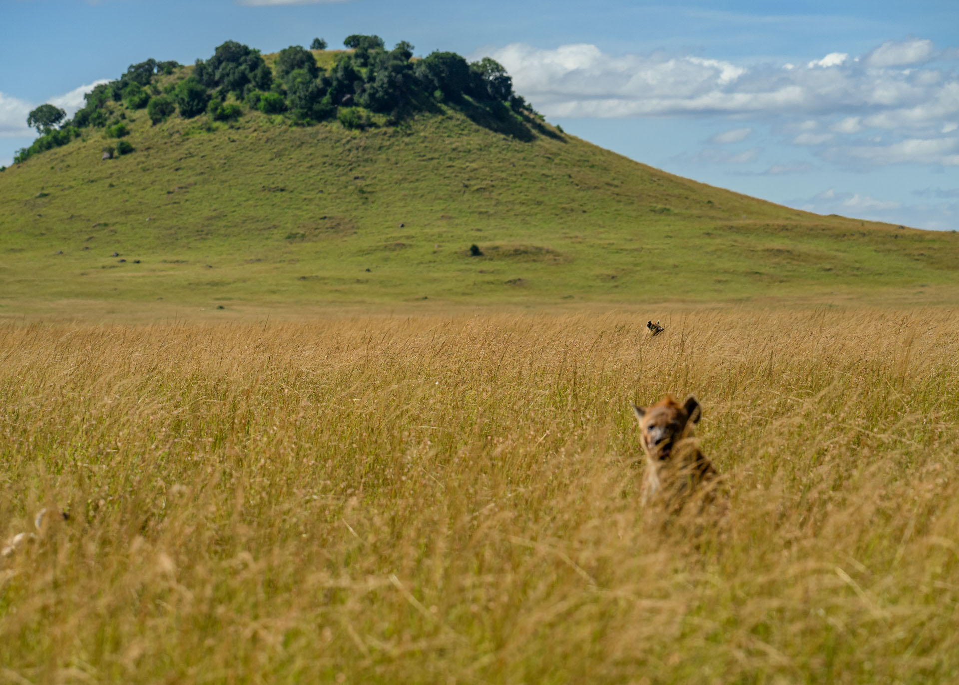 F7.1, 1/3200, ISO400 | Marvin Mwarangu 
