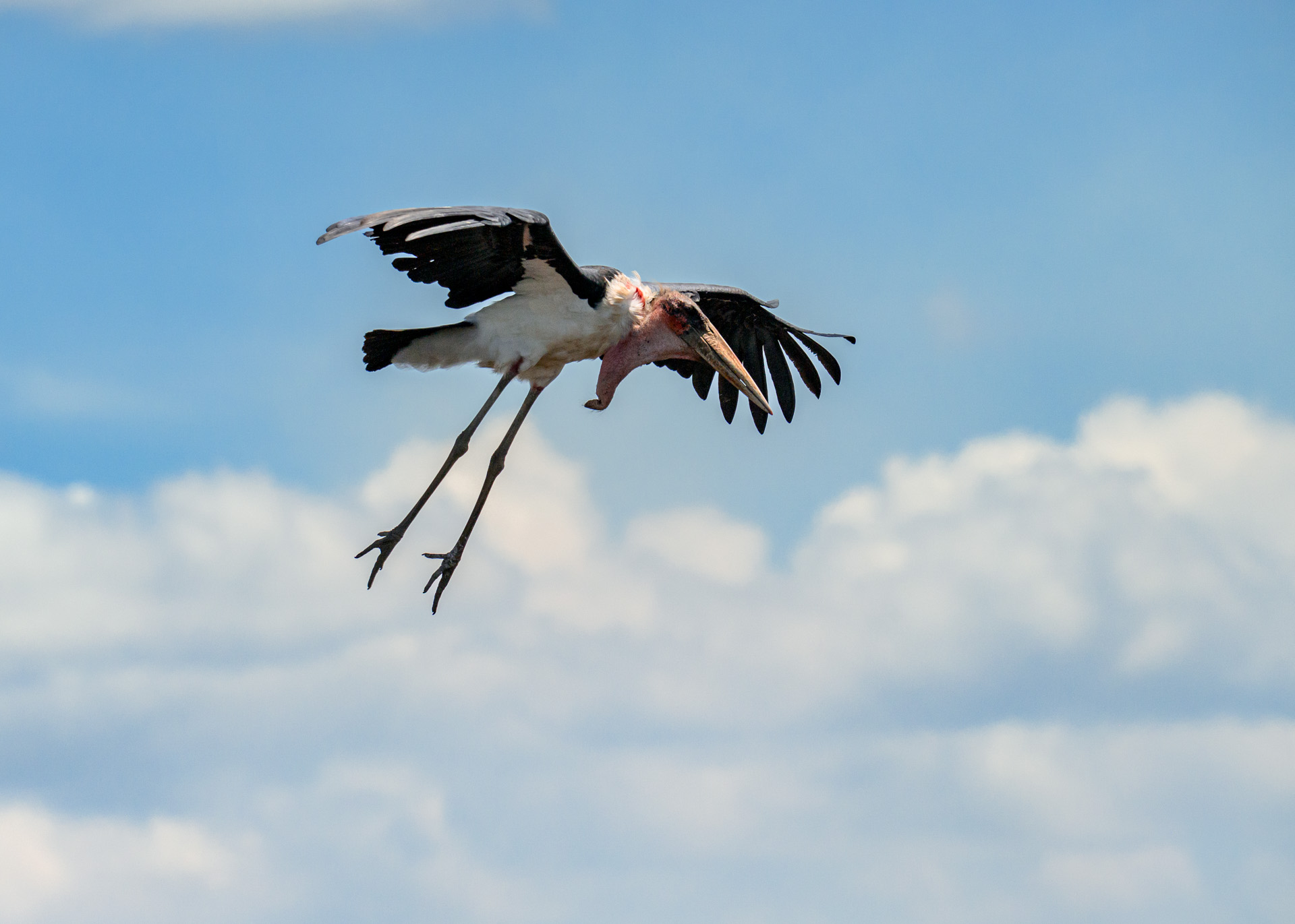 F8.0, 1/5000, ISO640 | Marvin Mwarangu 