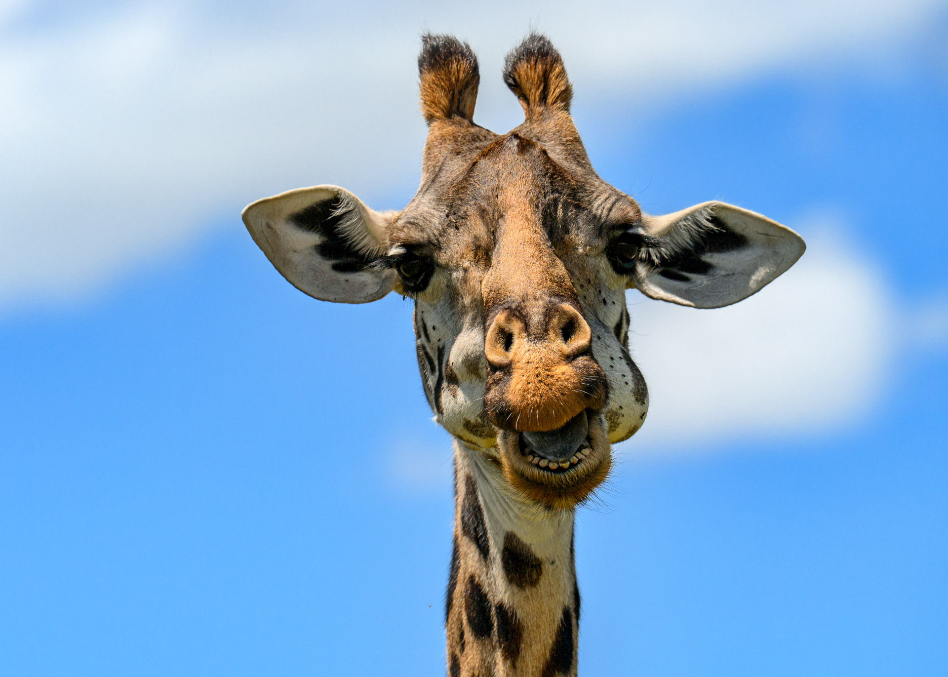 F8.0, 1/5000, ISO640 | Marvin Mwarangu 