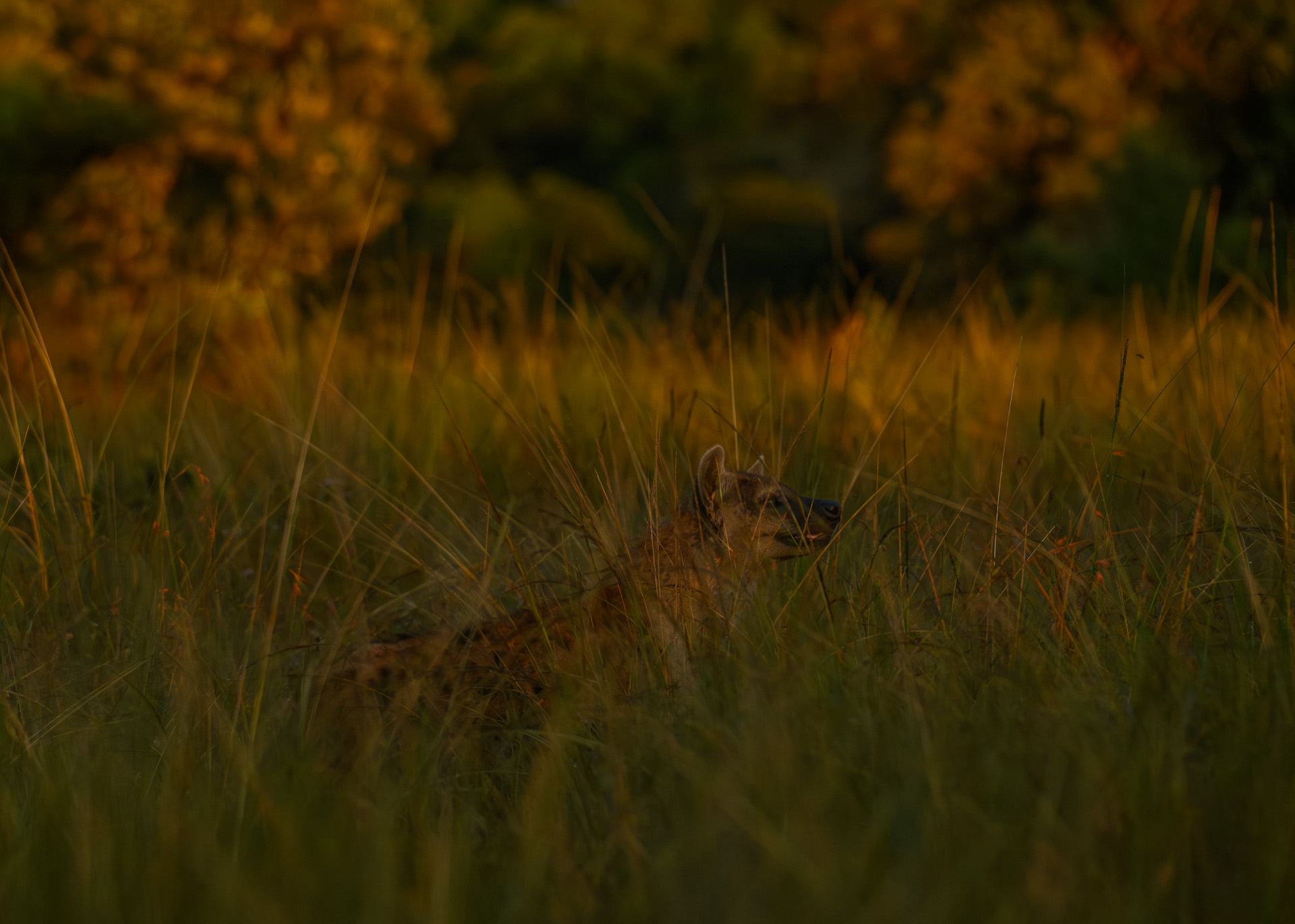 F6.3, 1/1250, ISO640 | Marvin Mwarangu
