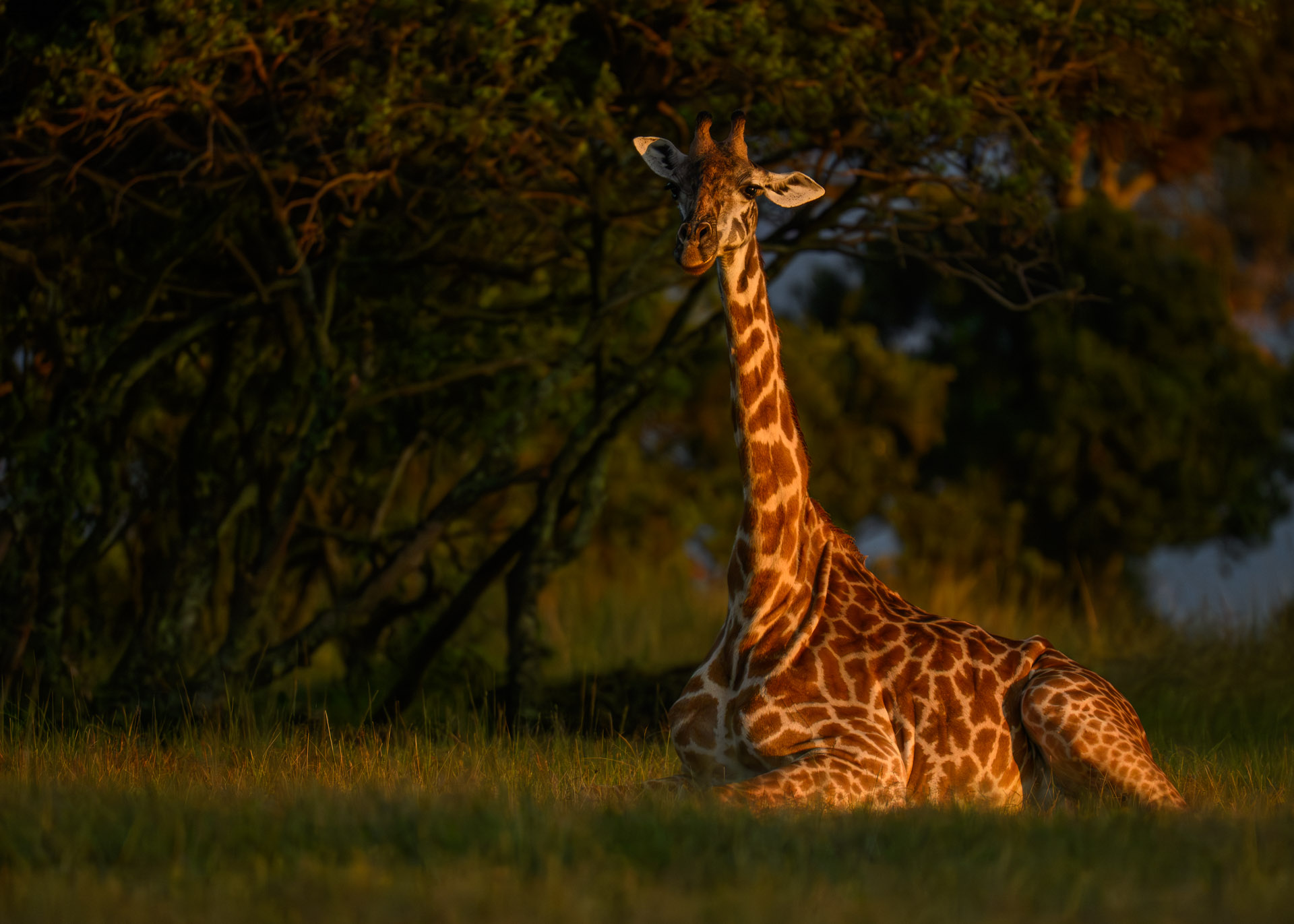 F6.3, 1/1250, ISO640 | Marvin Mwarangu 