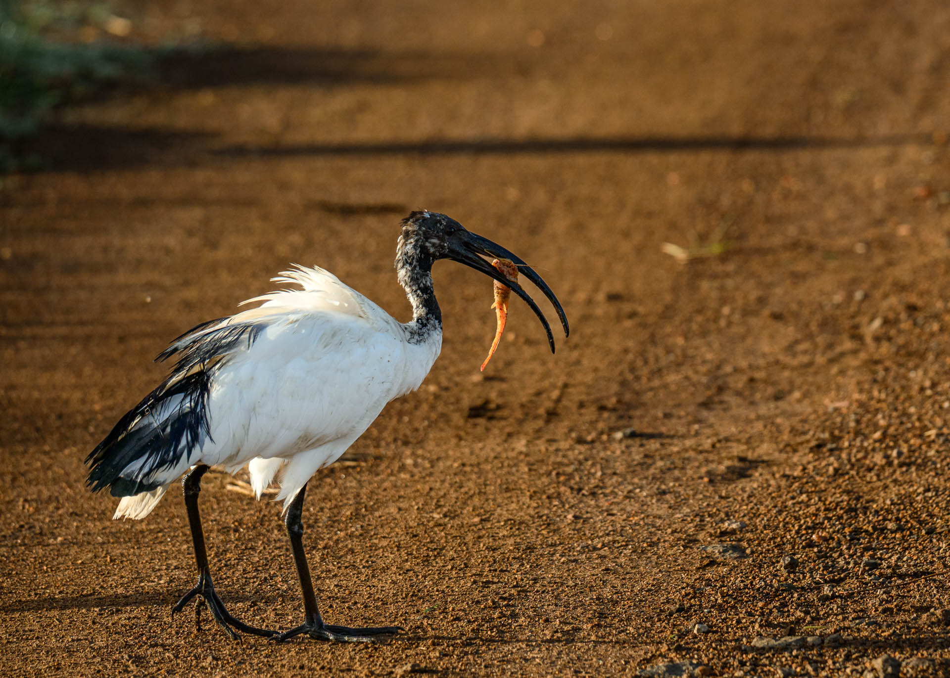 F6.3, 1/2000, ISO640 | Marvin Mwarangu