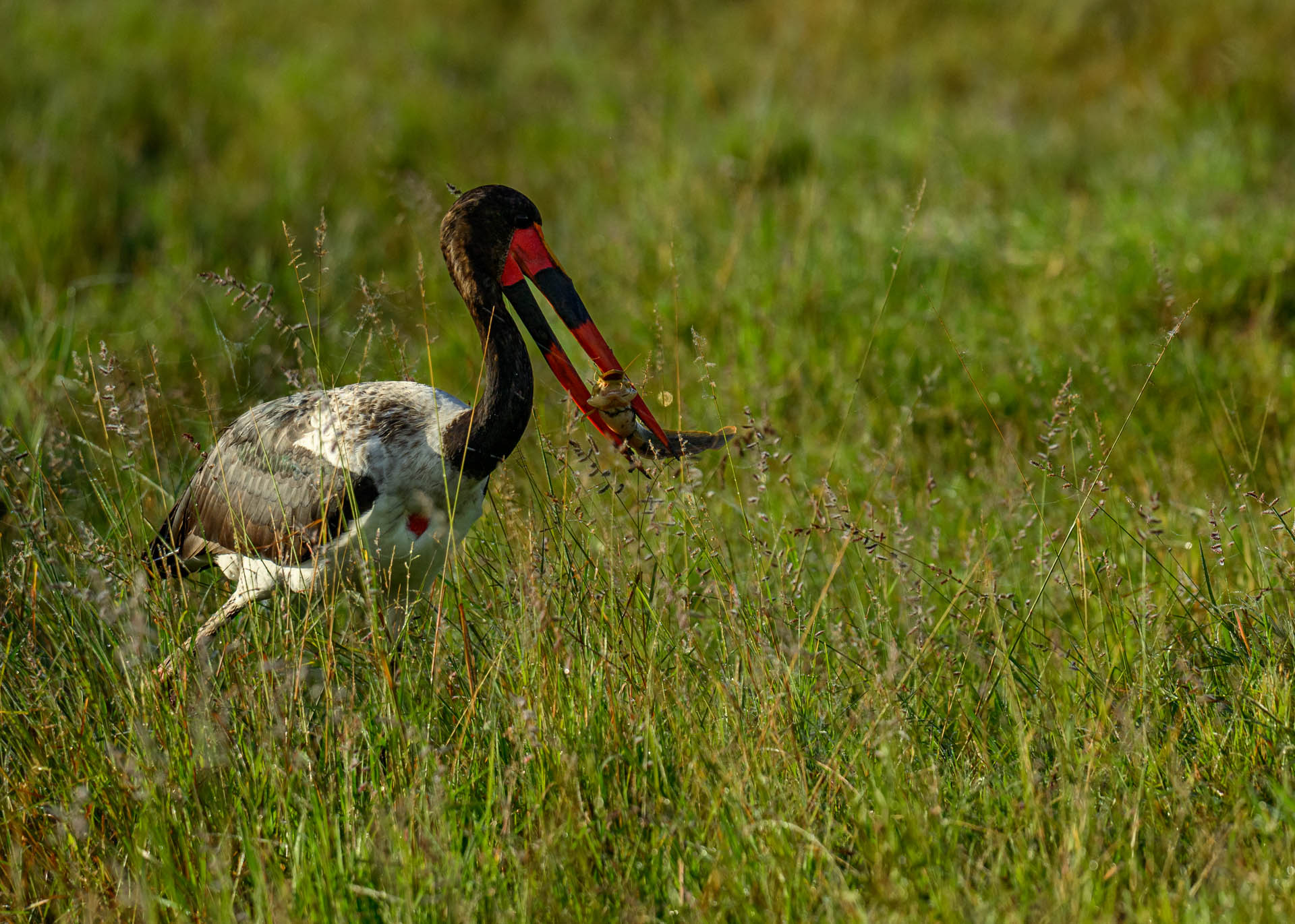 F6.3, 1/2000, ISO640 | Marvin Mwarangu 