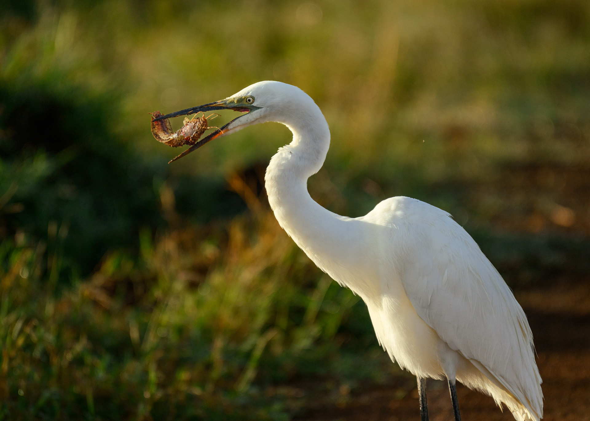 F6.3, 1/2000, ISO640 | Marvin Mwarangu 