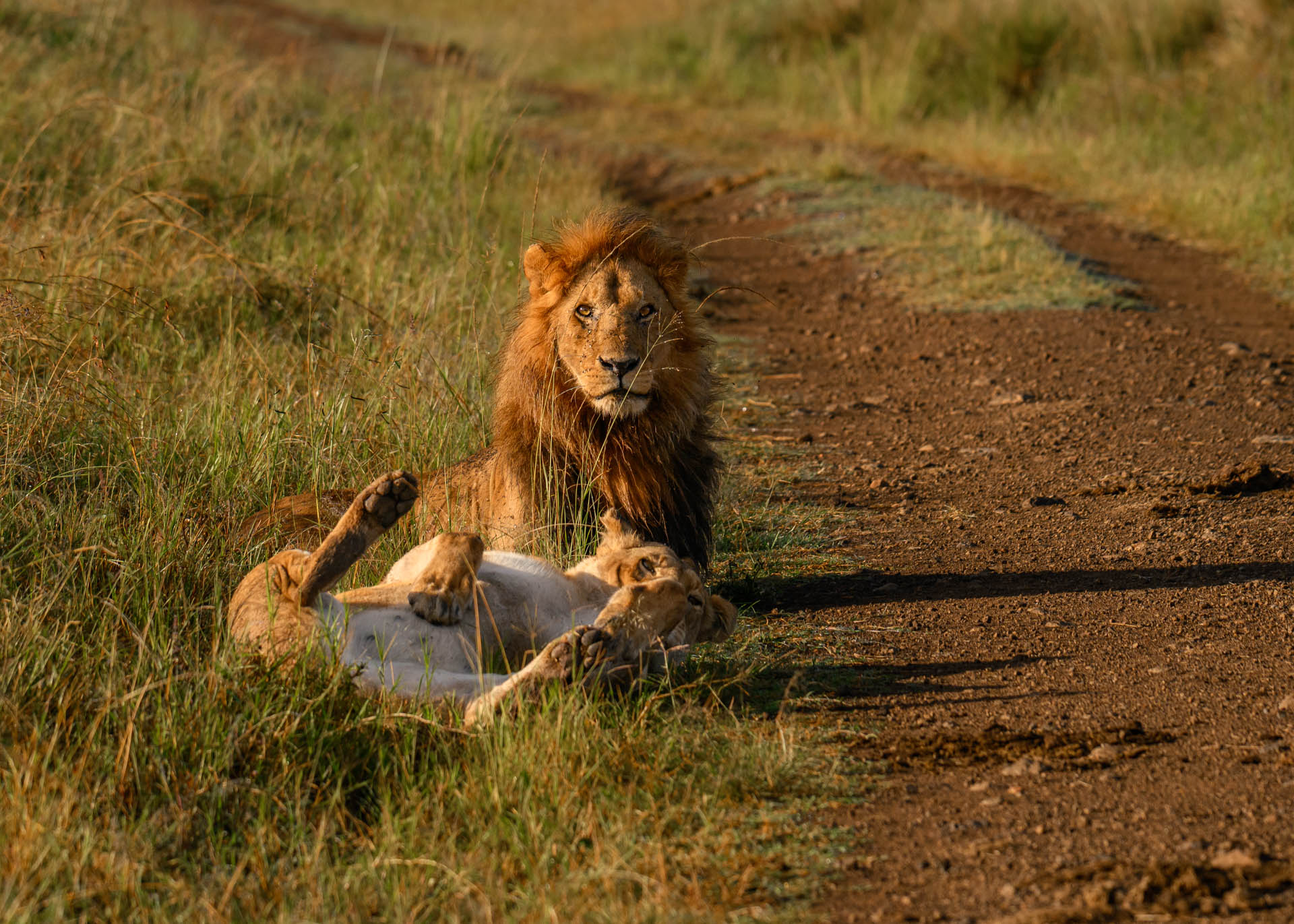 F6.3, 1/3200, ISO640 | Marvin Mwarangu 