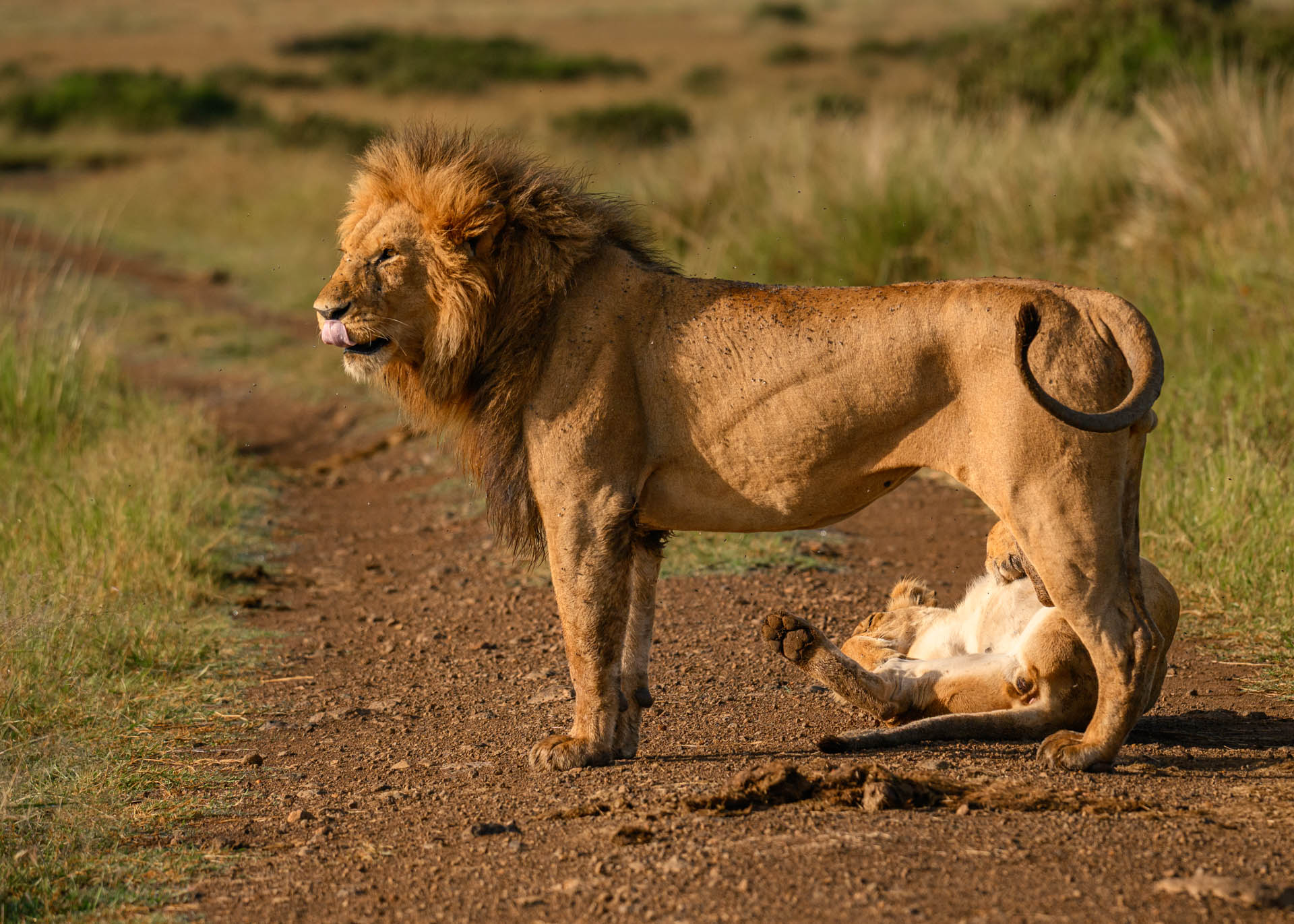 F6.3, 1/3200, ISO640 | Marvin Mwarangu 