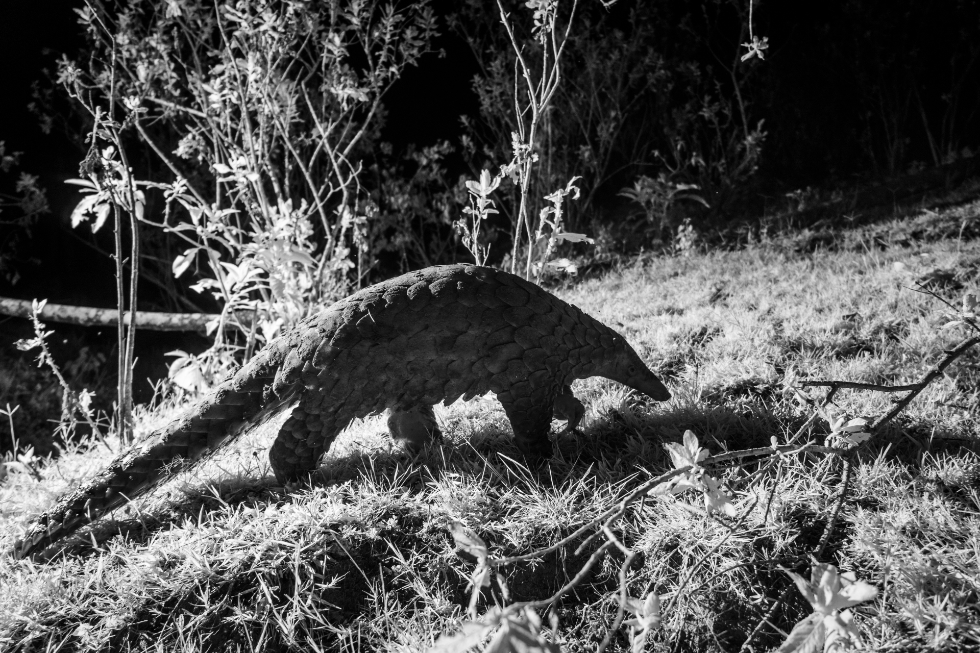 After just a few minutes photographing, we backed away and left it undisturbed