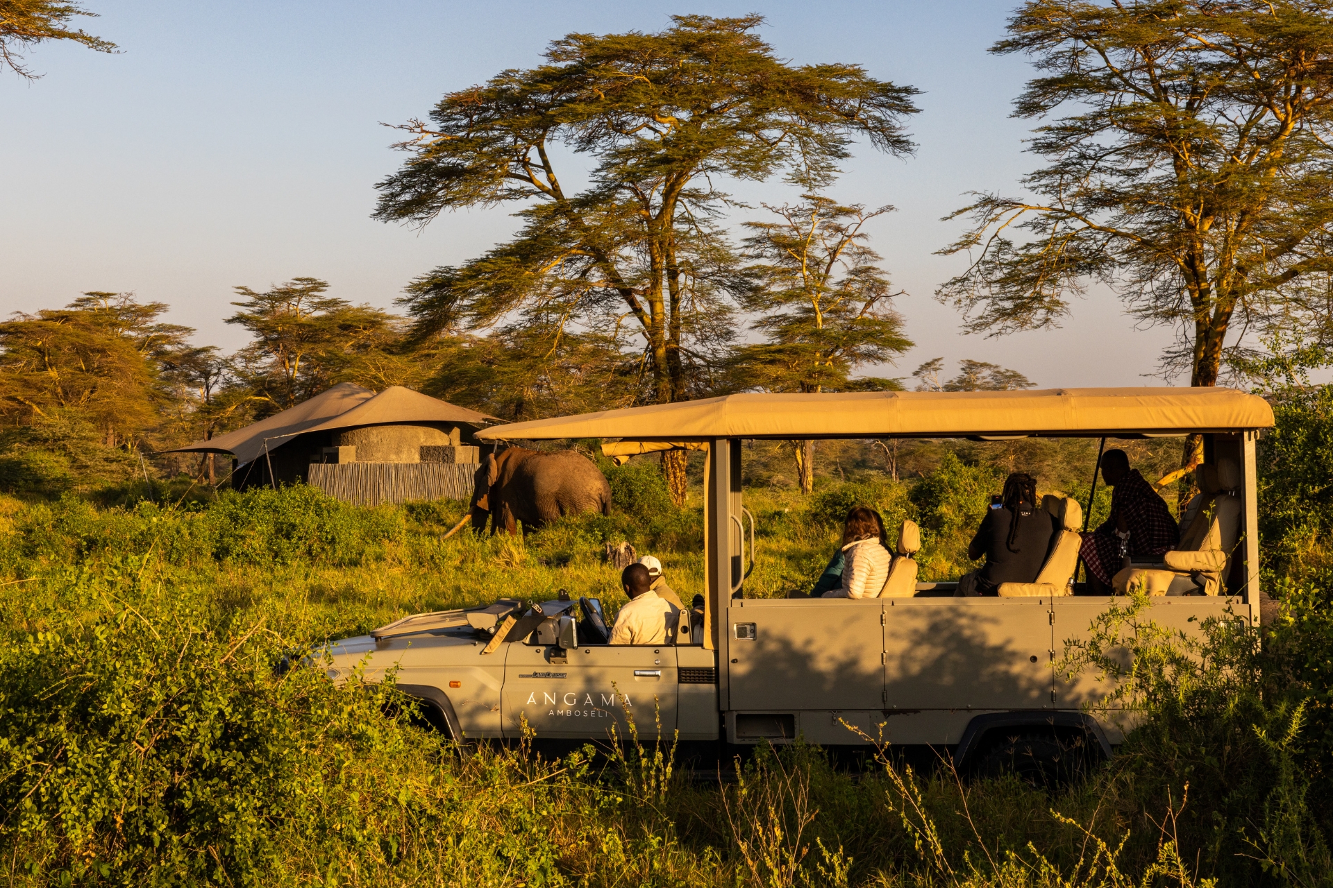 In minutes you'll be crossing paths with Super Tuskers in Kimana Sanctuary