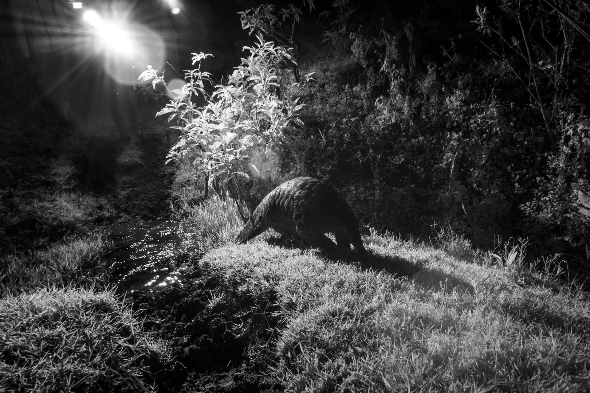 'It was more than a photographic exercise; it felt like stepping briefly into a hidden world, one that has existed there all along'