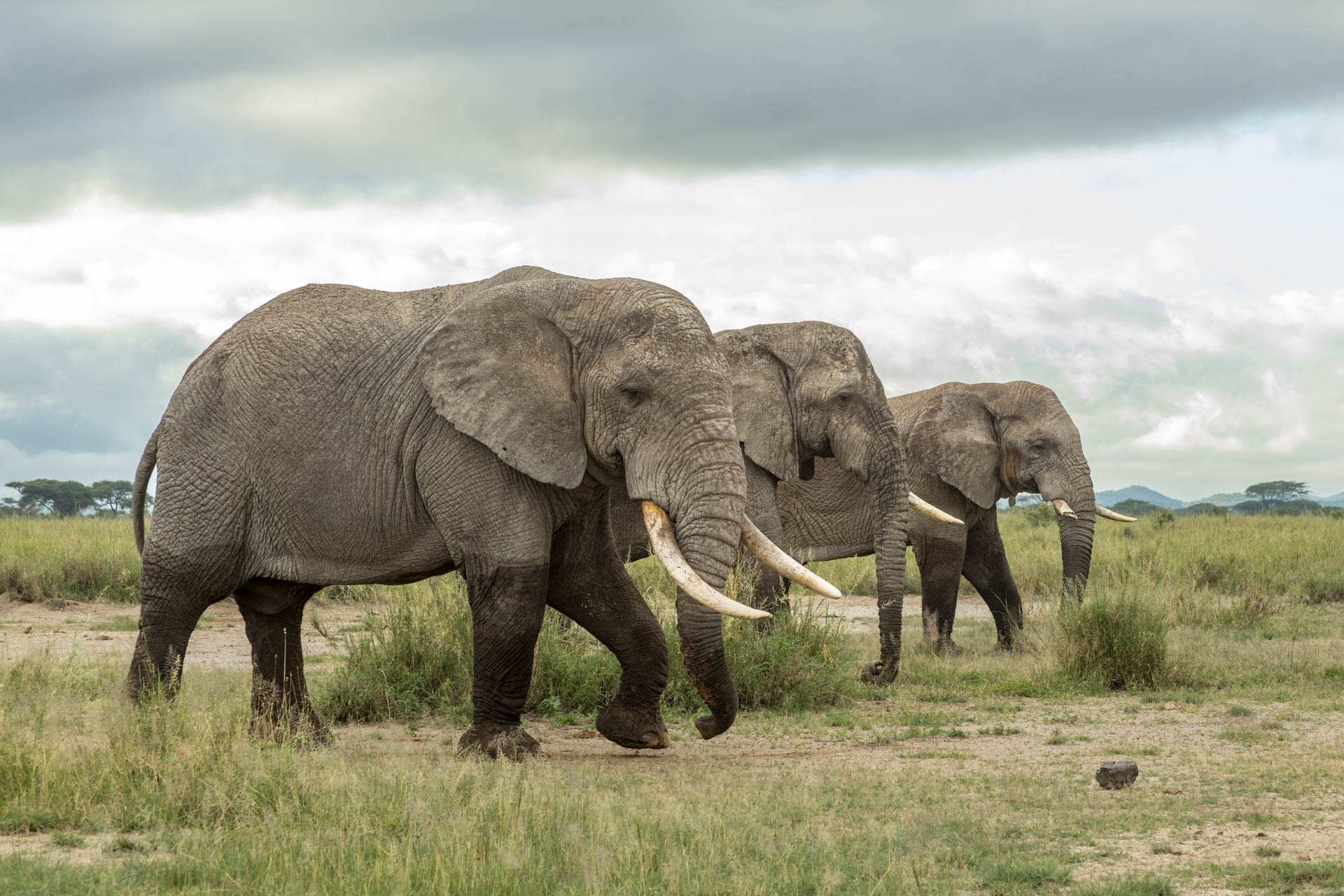 F 8, 1/200, ISO 400 | Guide  Jeremy Macharia 