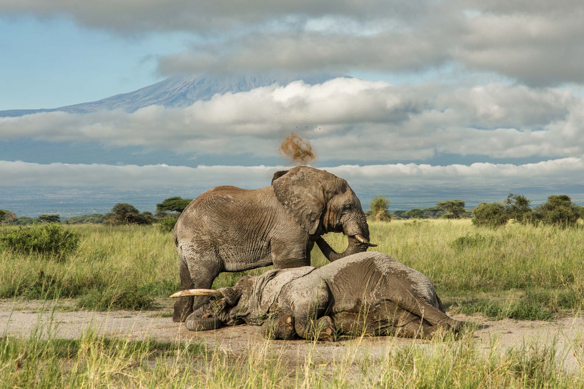 F 8, 1/640, ISO 160 | Guide Jeremey Macharia