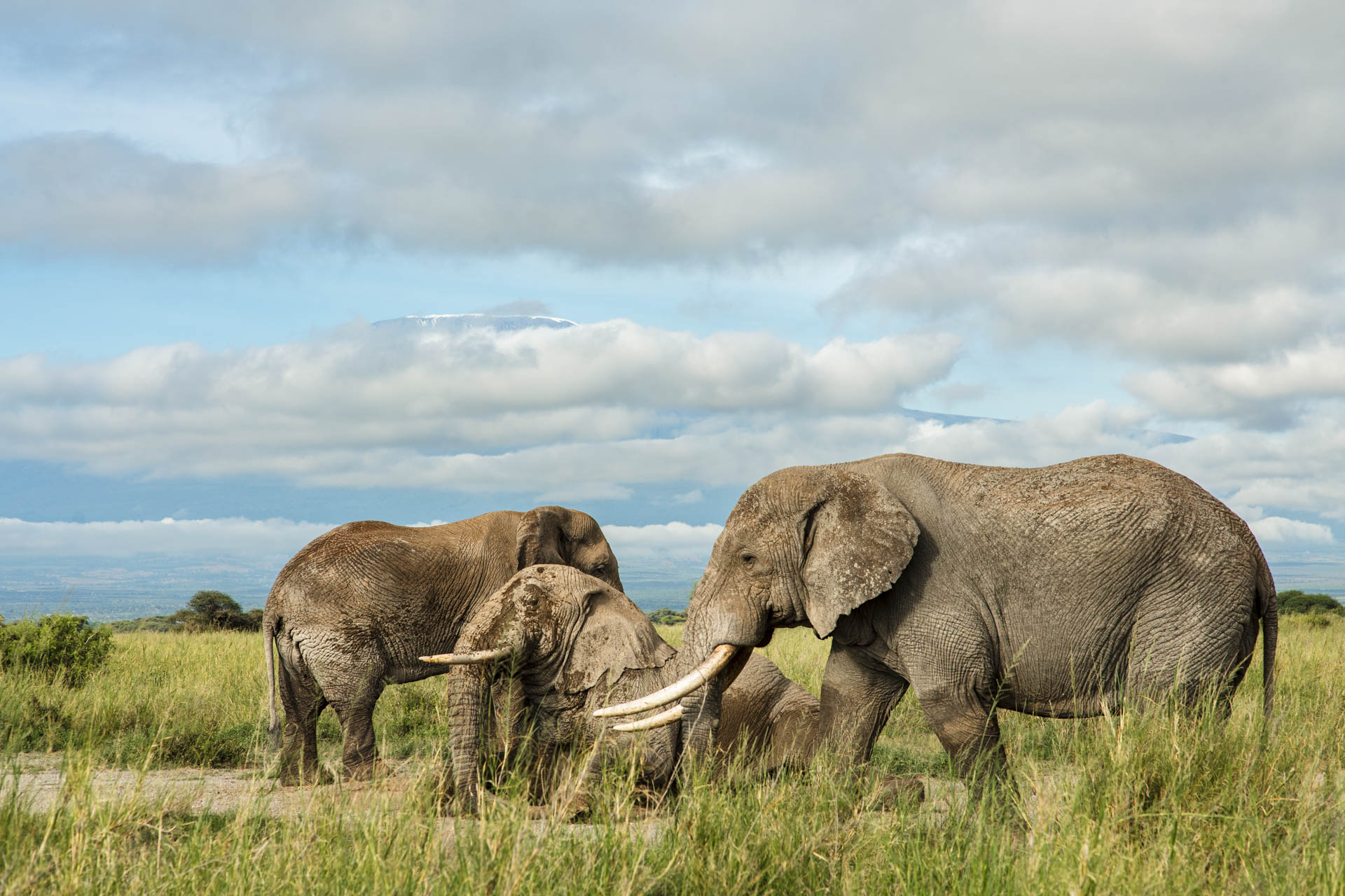 F 8, 1/640, ISO 125 | Guide  Jeremy Macharia 