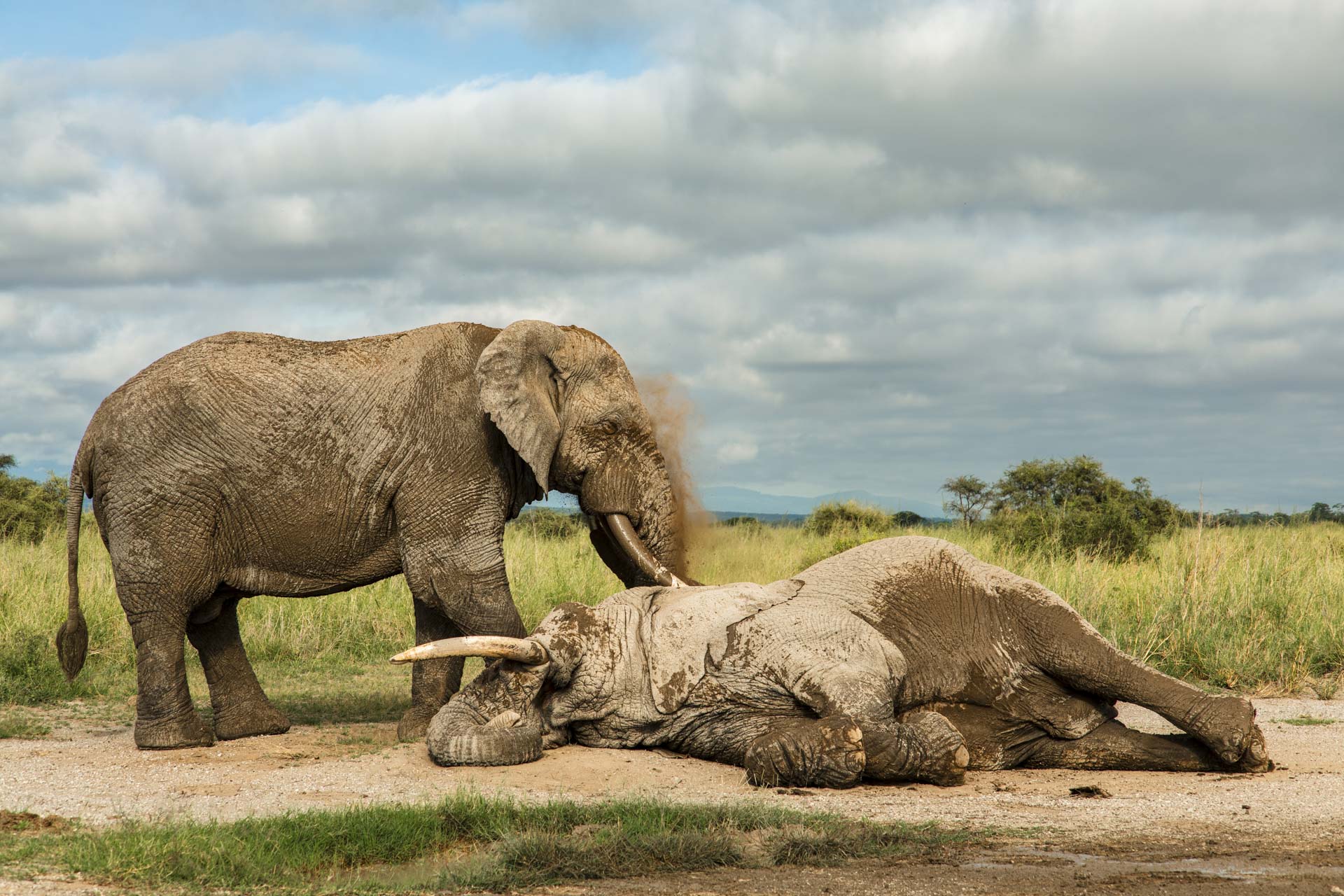 F 8, 1/640, ISO 125 | Guide Jeremy Macharia 