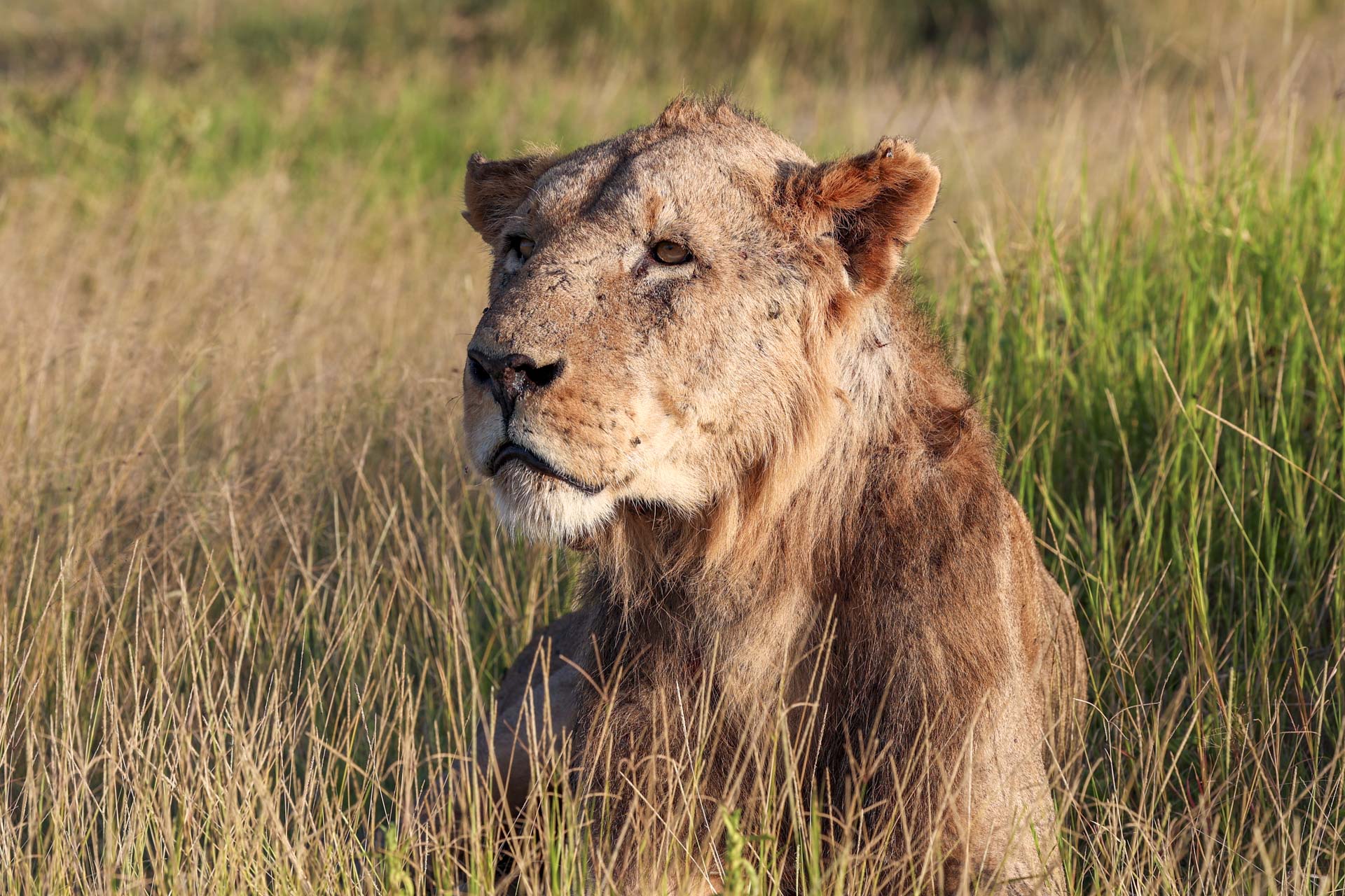 F 9.0, 1/160, ISO 125 | Guest Nick Gorton