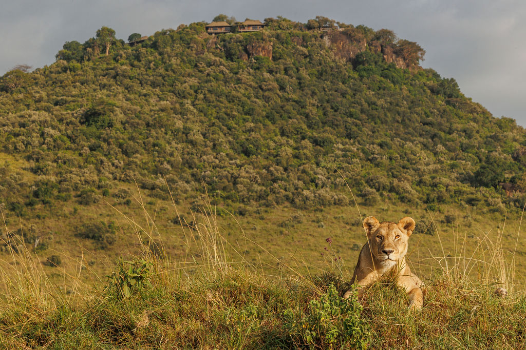 The location of Angama Mara means that guests can reach the crossing points early, ahead of the crowds