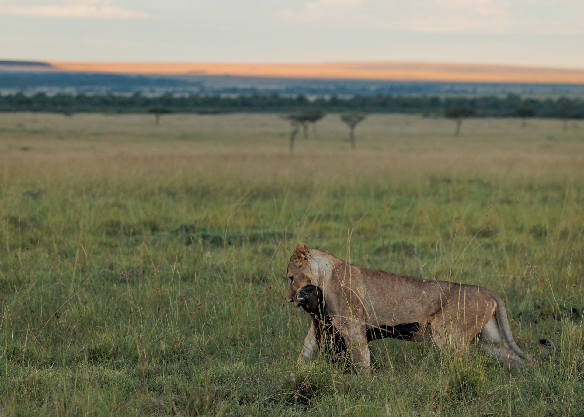 F4.0, 1/1250, ISO640 | Marvin Mwarangu 