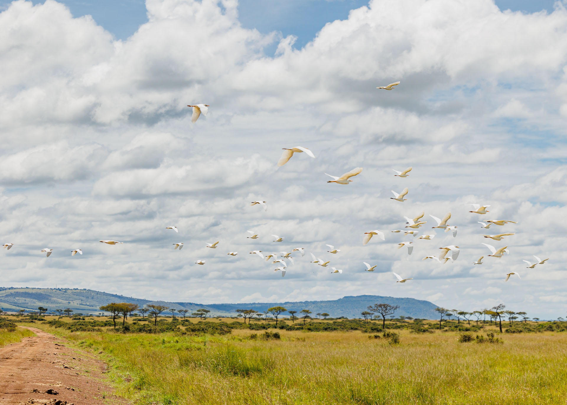 F4.0, 1/6400, ISO320 | Marvin Mwarangu 