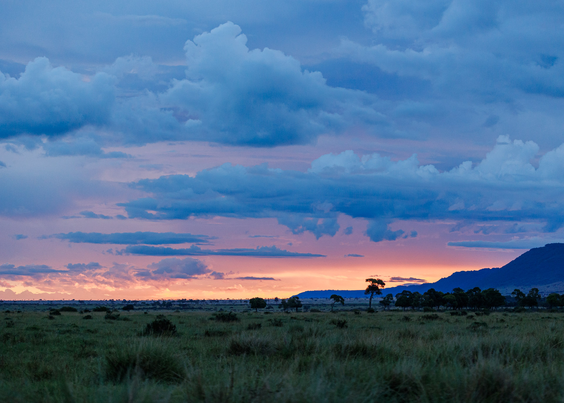 F4.5, 1/400, ISO1250 | Marvin Mwarangu 