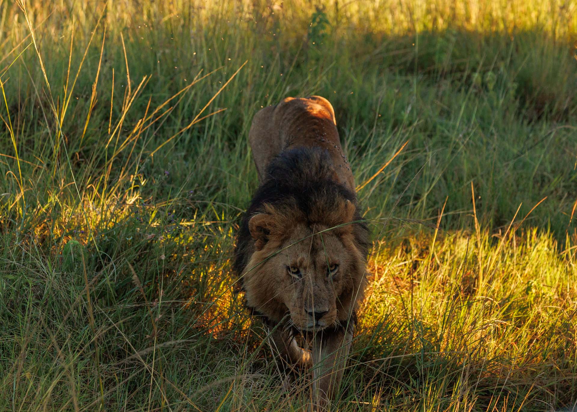 F5.0, 1/1250, ISO320 | Marvin Mwarangu 