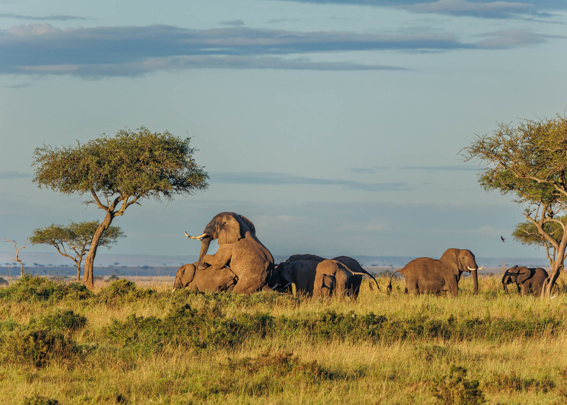 F7.1, 1/1600, ISO500 | Marvin Mwarangu 