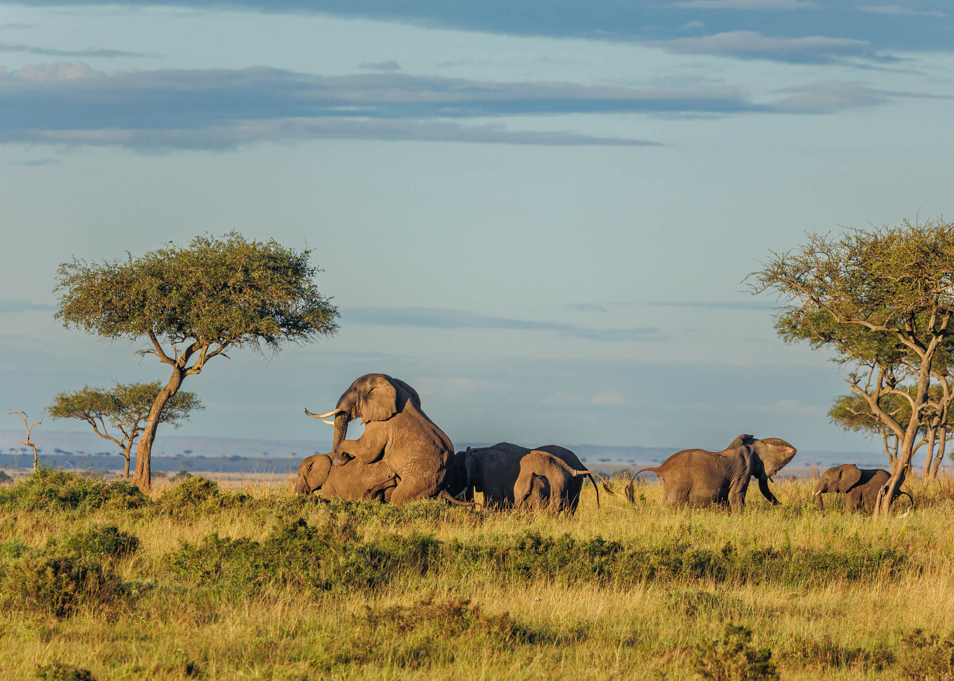 F7.1, 1/1600, ISO500 | Marvin Mwarangu 