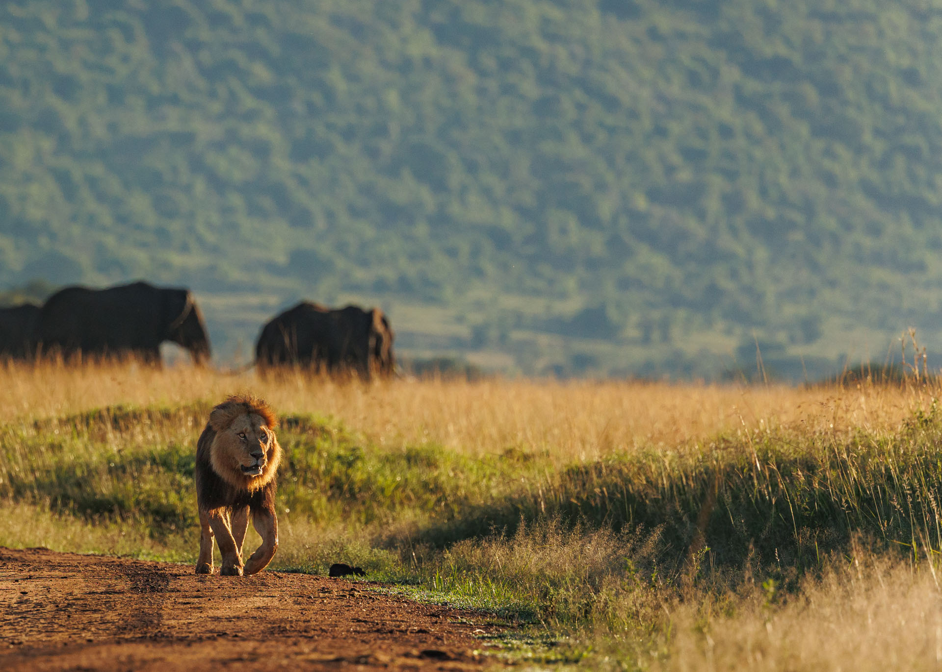F7.1, 1/1600, ISO500 | Marvin Mwarangu 