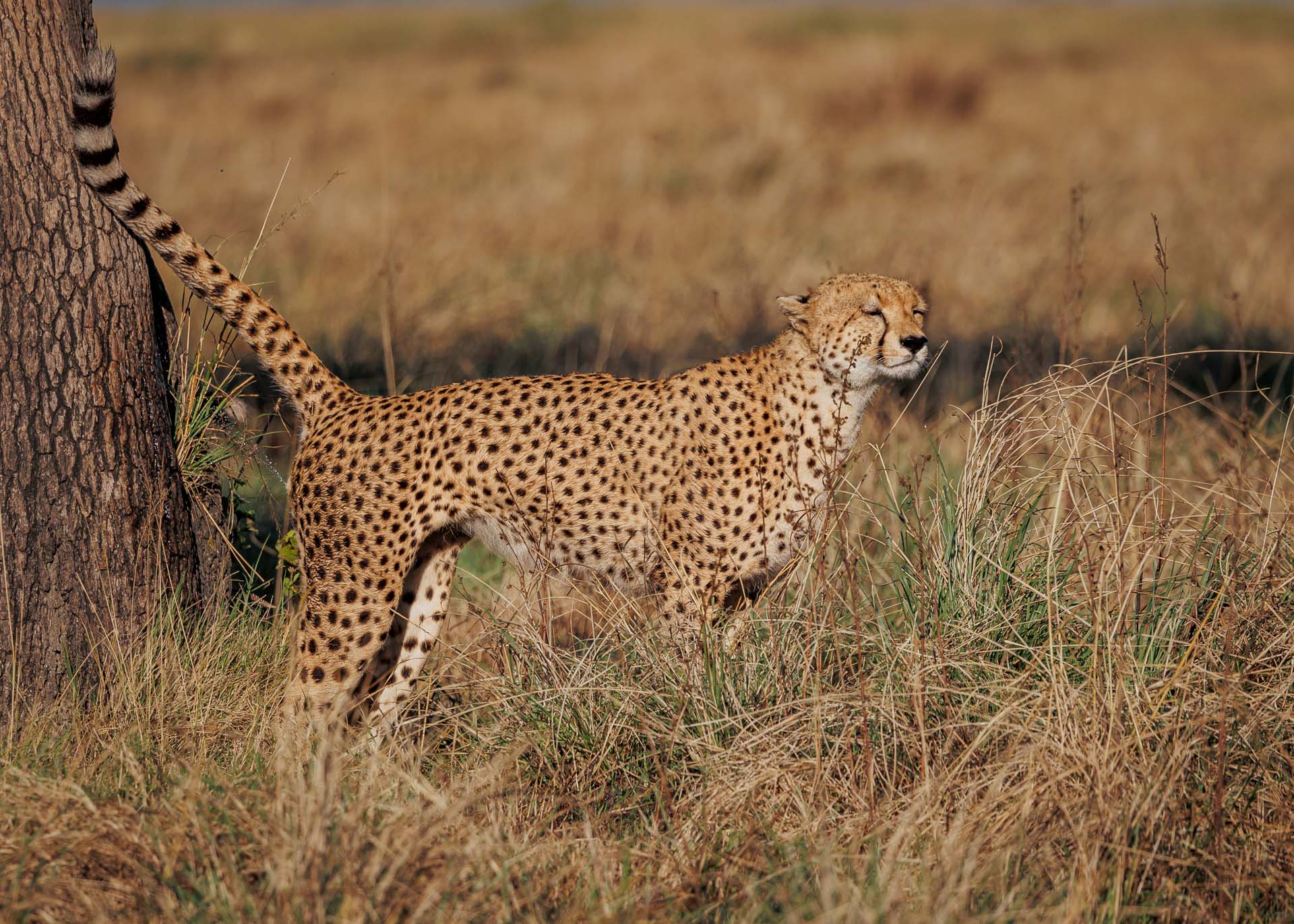 F5.6, 1/4000, ISO320 | Marvin Mwarangu 