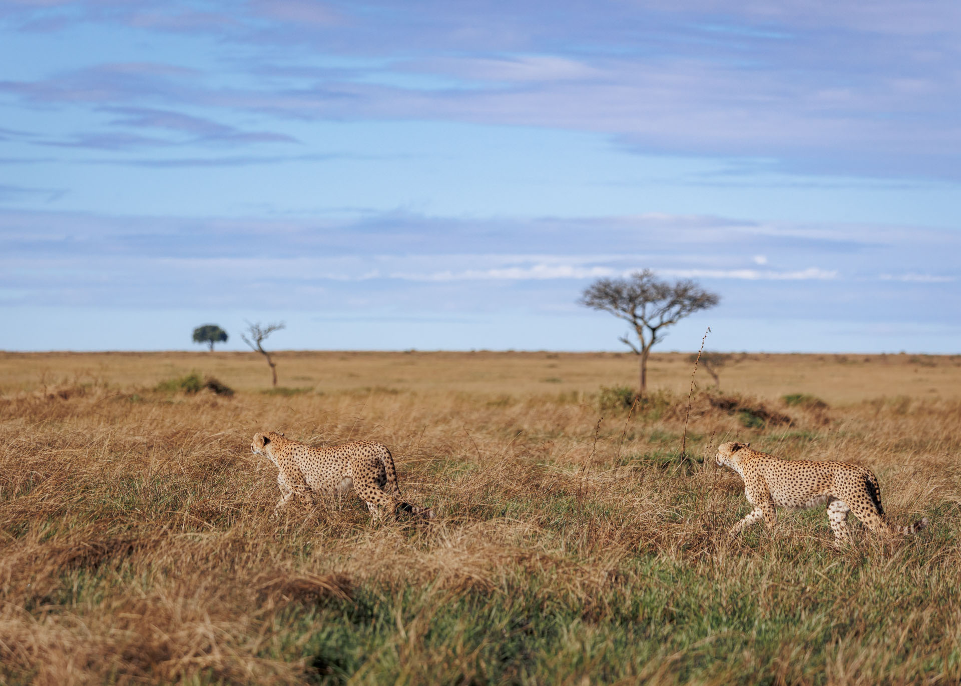 F5.0, 1/4000, ISO320 | Marvin Mwarangu 