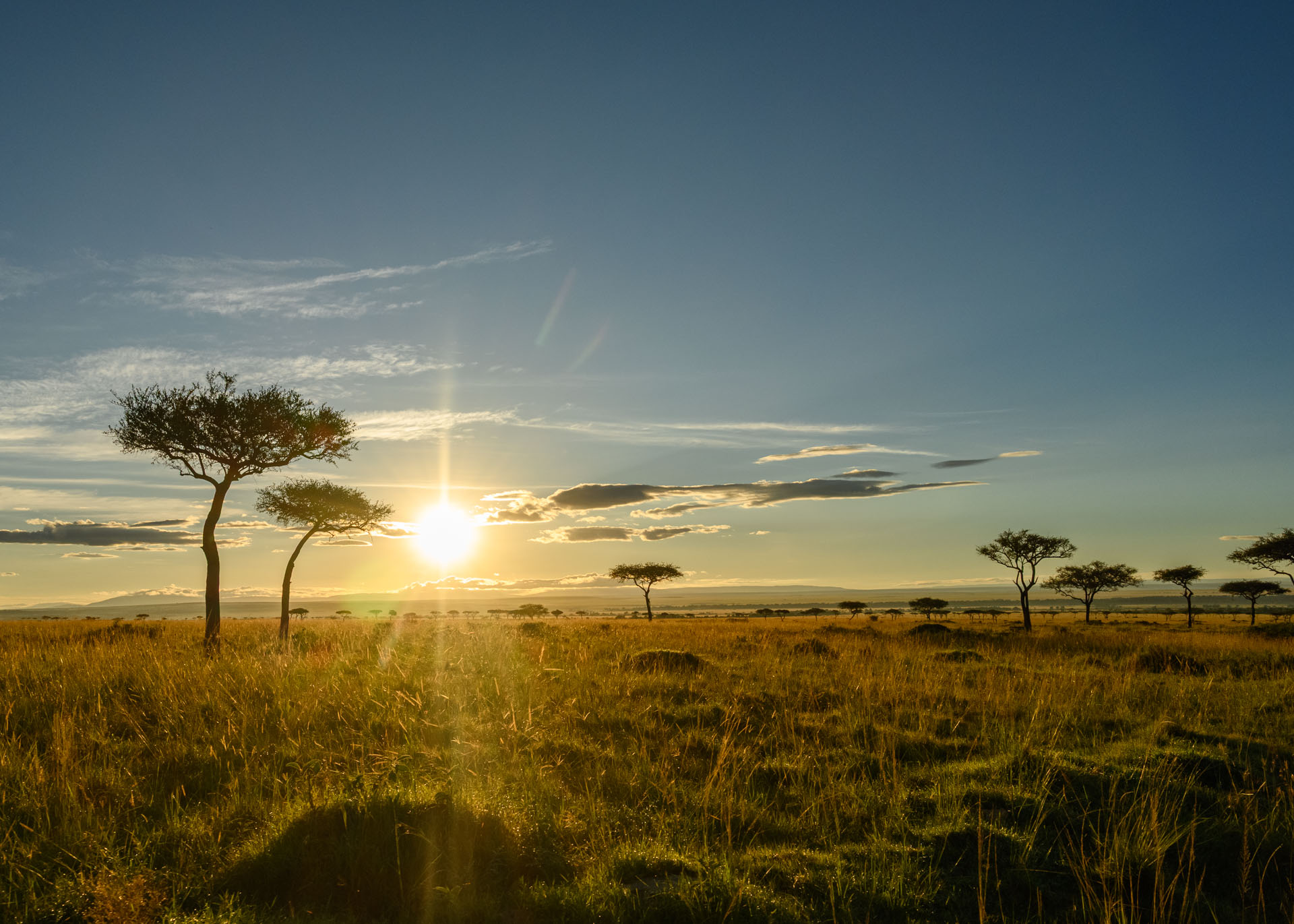 F10.0, 1/1600, ISO500 | Marvin Mwarangu 