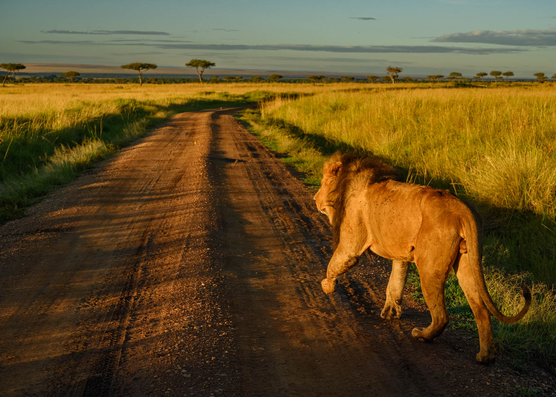 F8.0, 1/1600, ISO500 | Marvin Mwarangu 