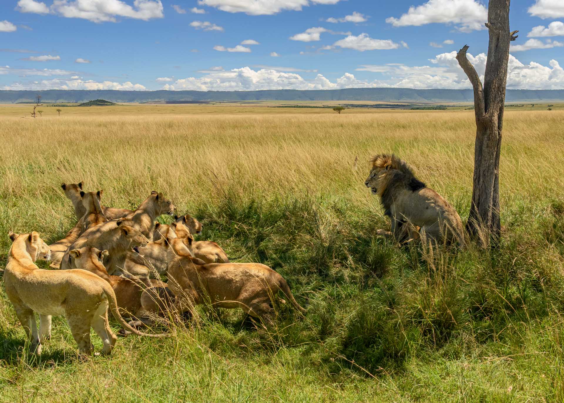 F10.0, 1/640, ISO500 | Marvin Mwarangu 