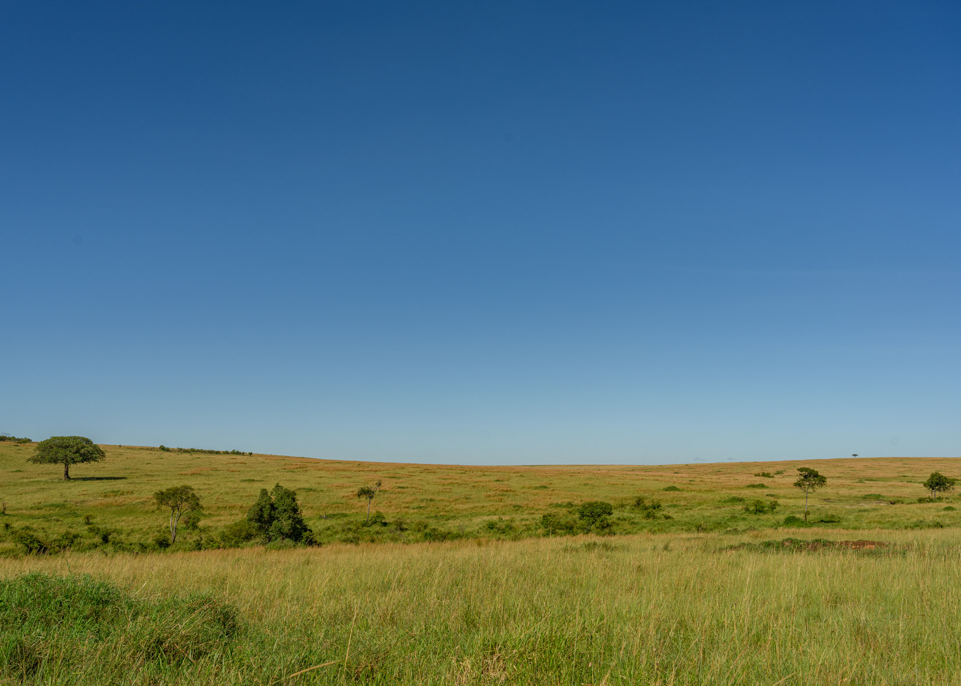 F8.0, 1/800, ISO160 | Marvin Mwarangu 