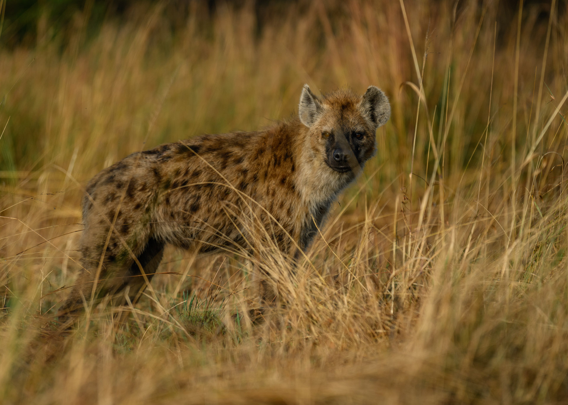 F6.3, 1/2000, ISO500 | Marvin Mwarangu 