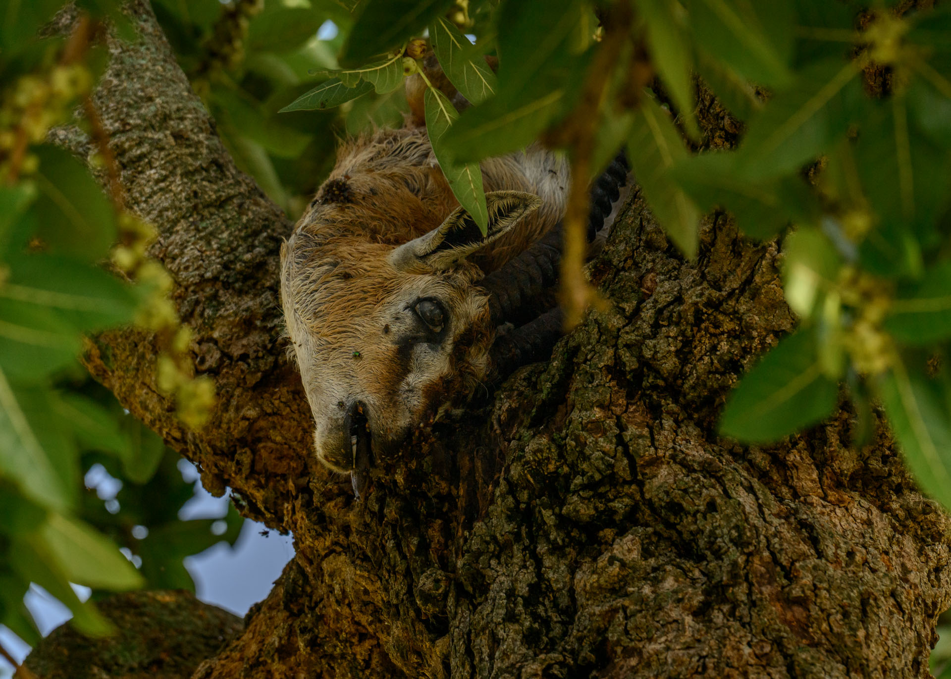 F8.0, 1/400, ISO500 | Marvin Mwarangu 