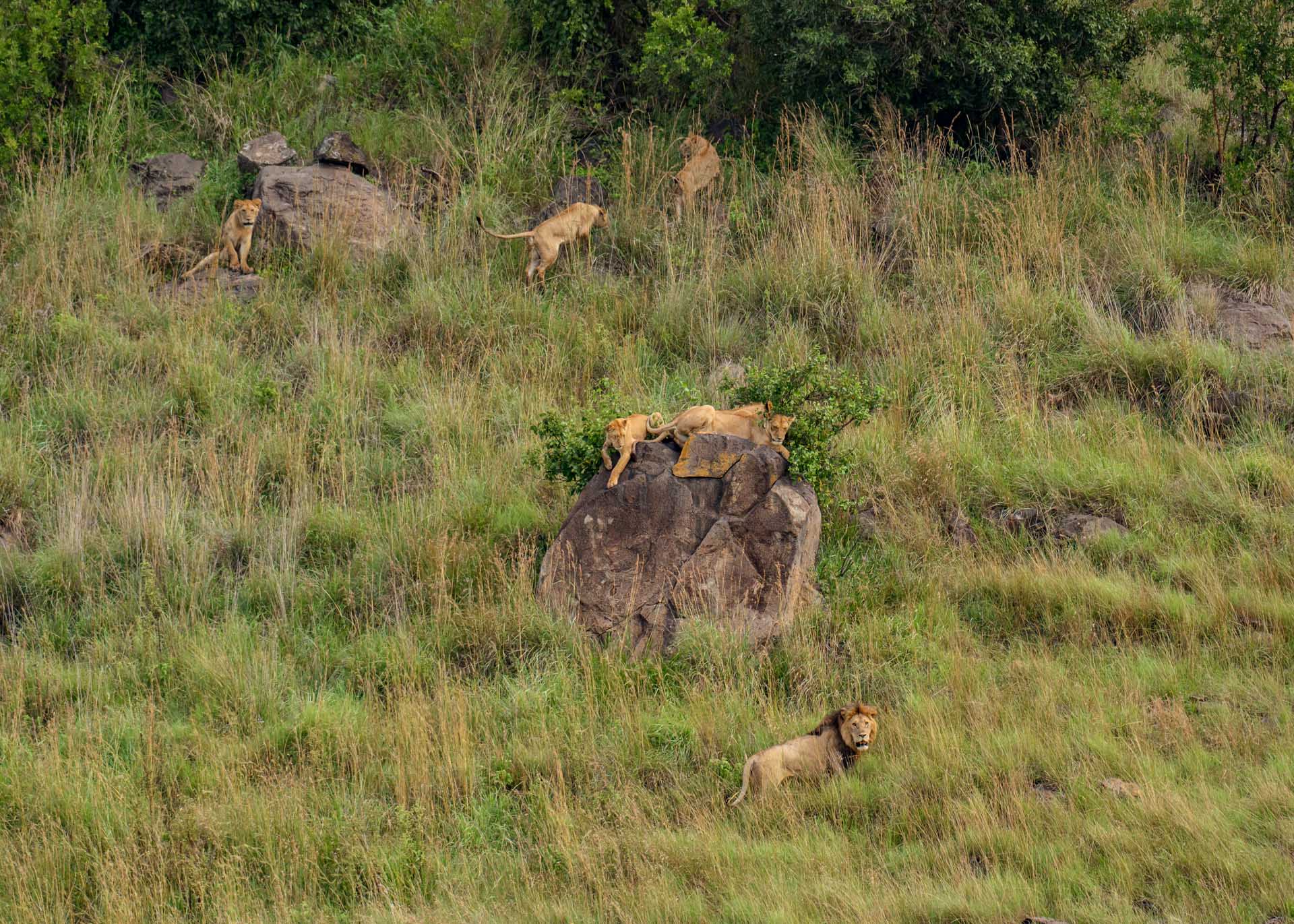 F8.0, 1/3200, ISO1000 | Marvin Mwarangu 