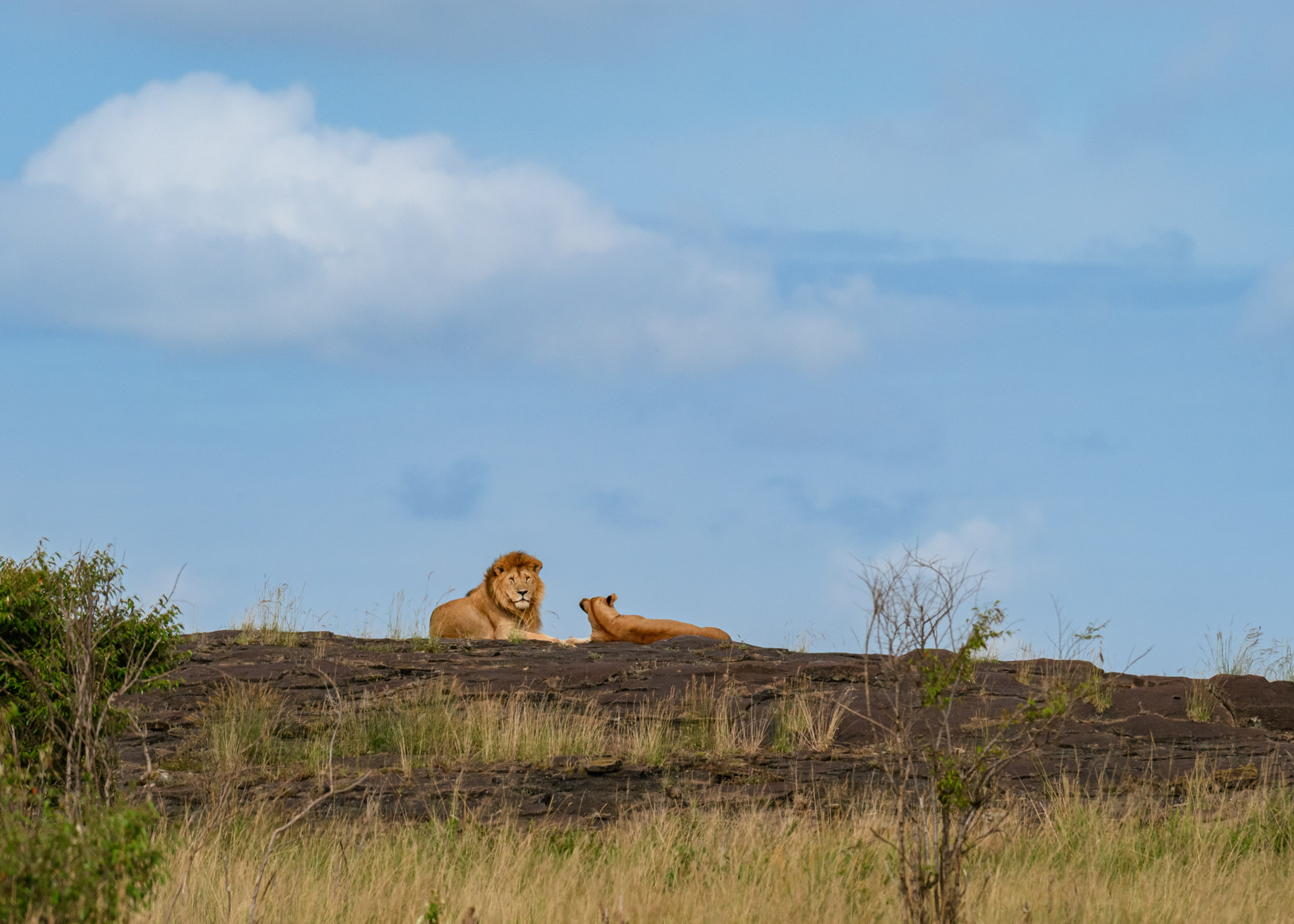 F10.0, 1/3200, ISO1000 | Marvin Mwarangu 
