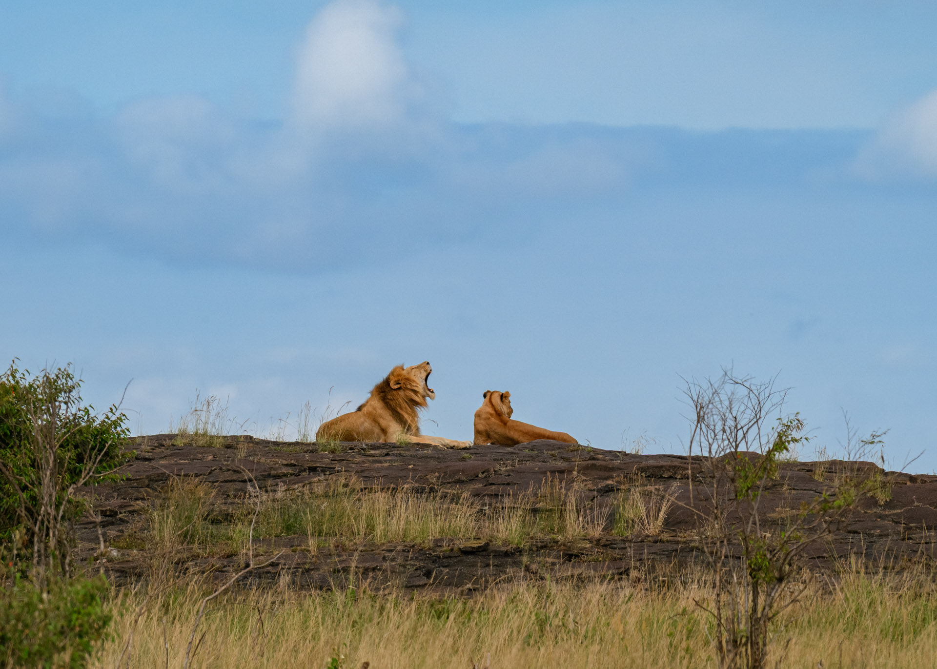 F10.0, 1/3200, ISO1000 | Marvin Mwarangu 