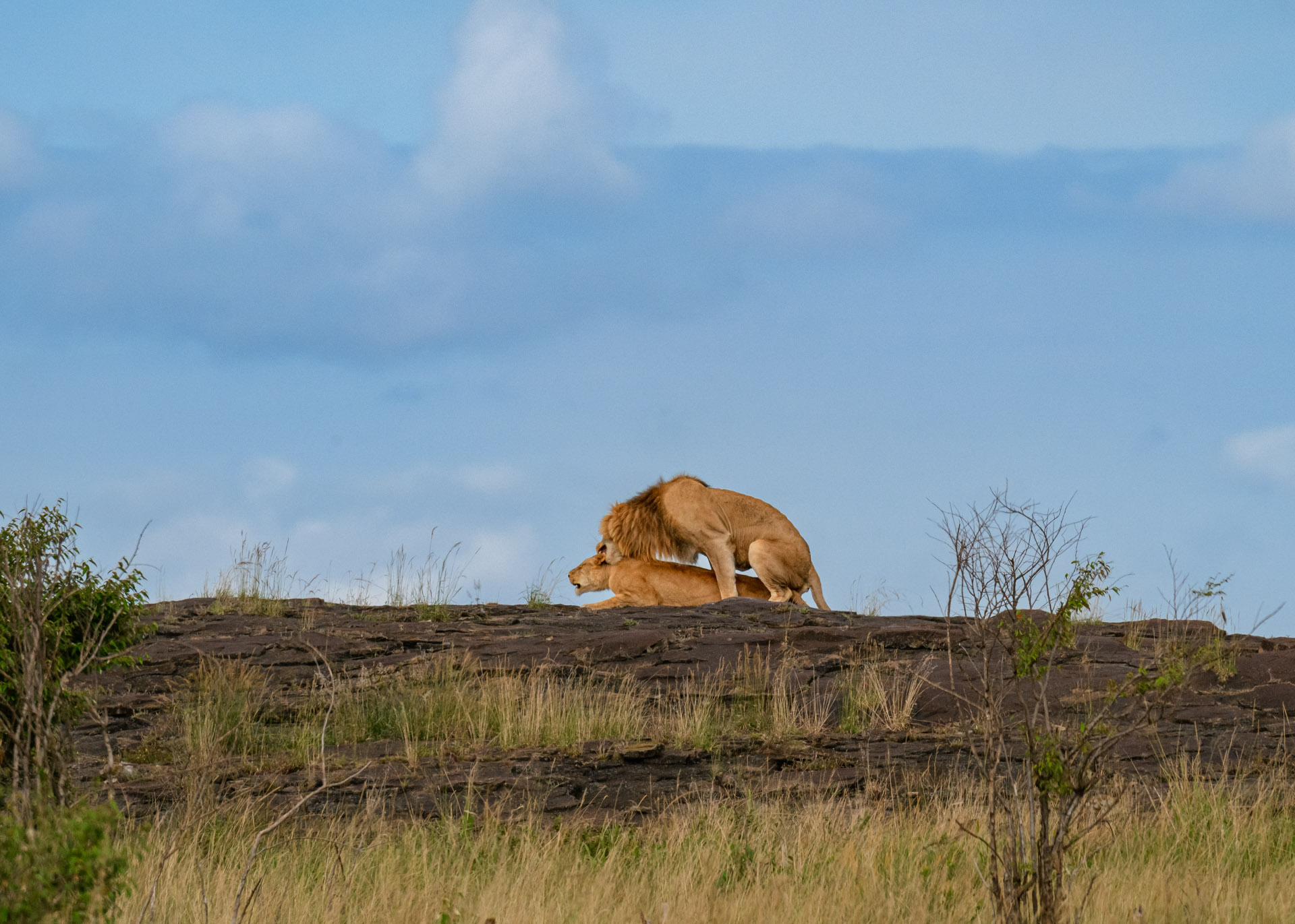 F10.0, 1/3200, ISO1000 | Marvin Mwarangu 