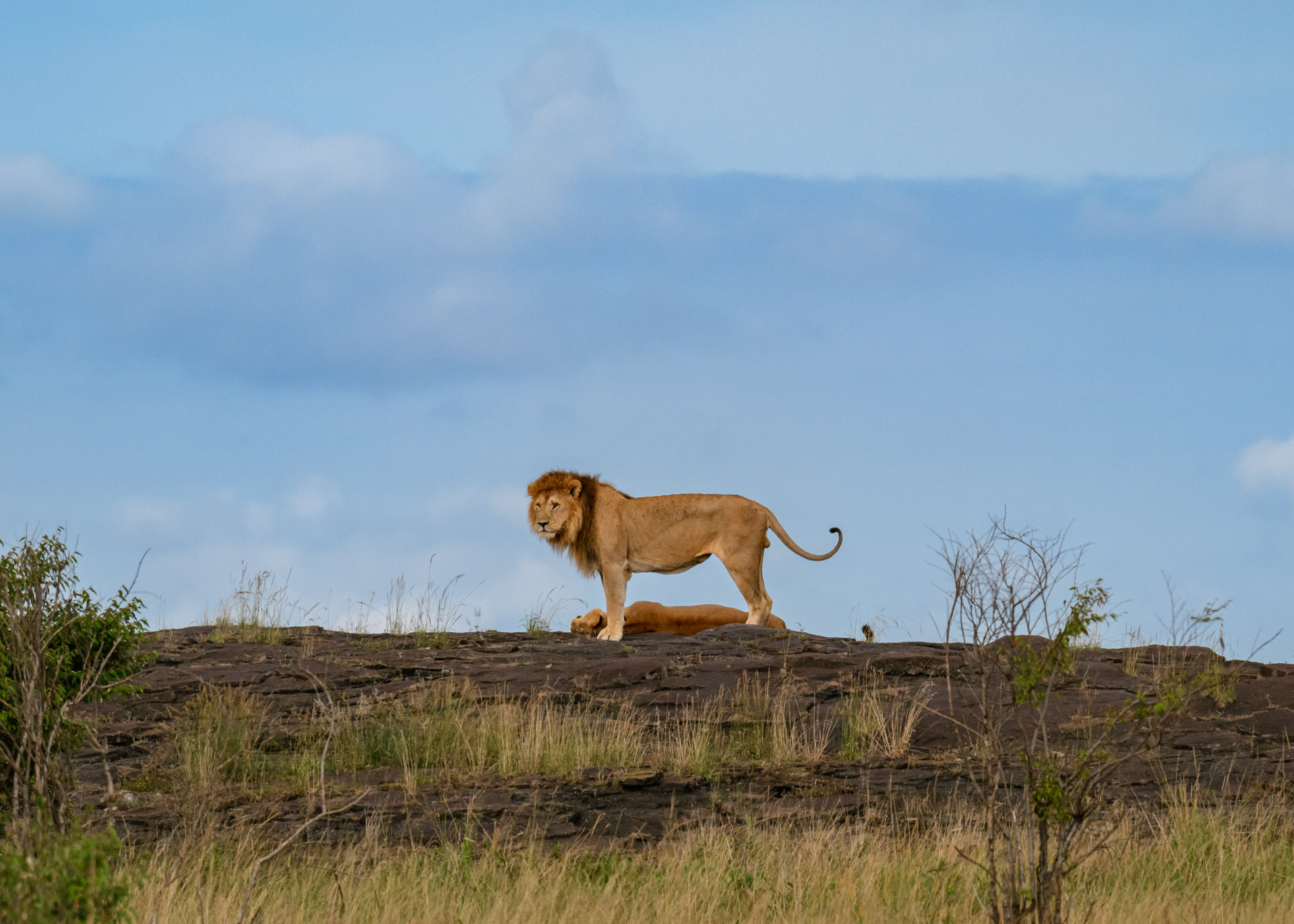F10.0, 1/3200, ISO1000 | Marvin Mwarangu 