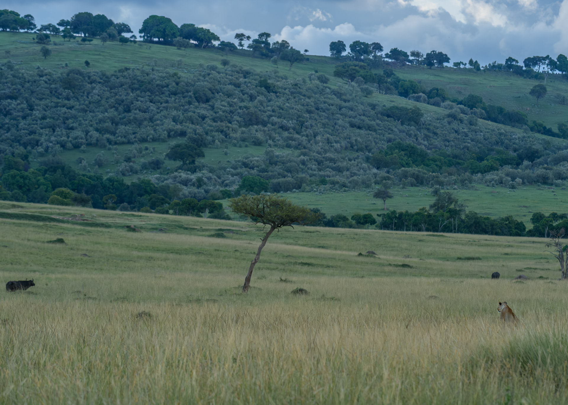 F8.0, 1/1600, ISO1000 | Marvin Mwarangu 