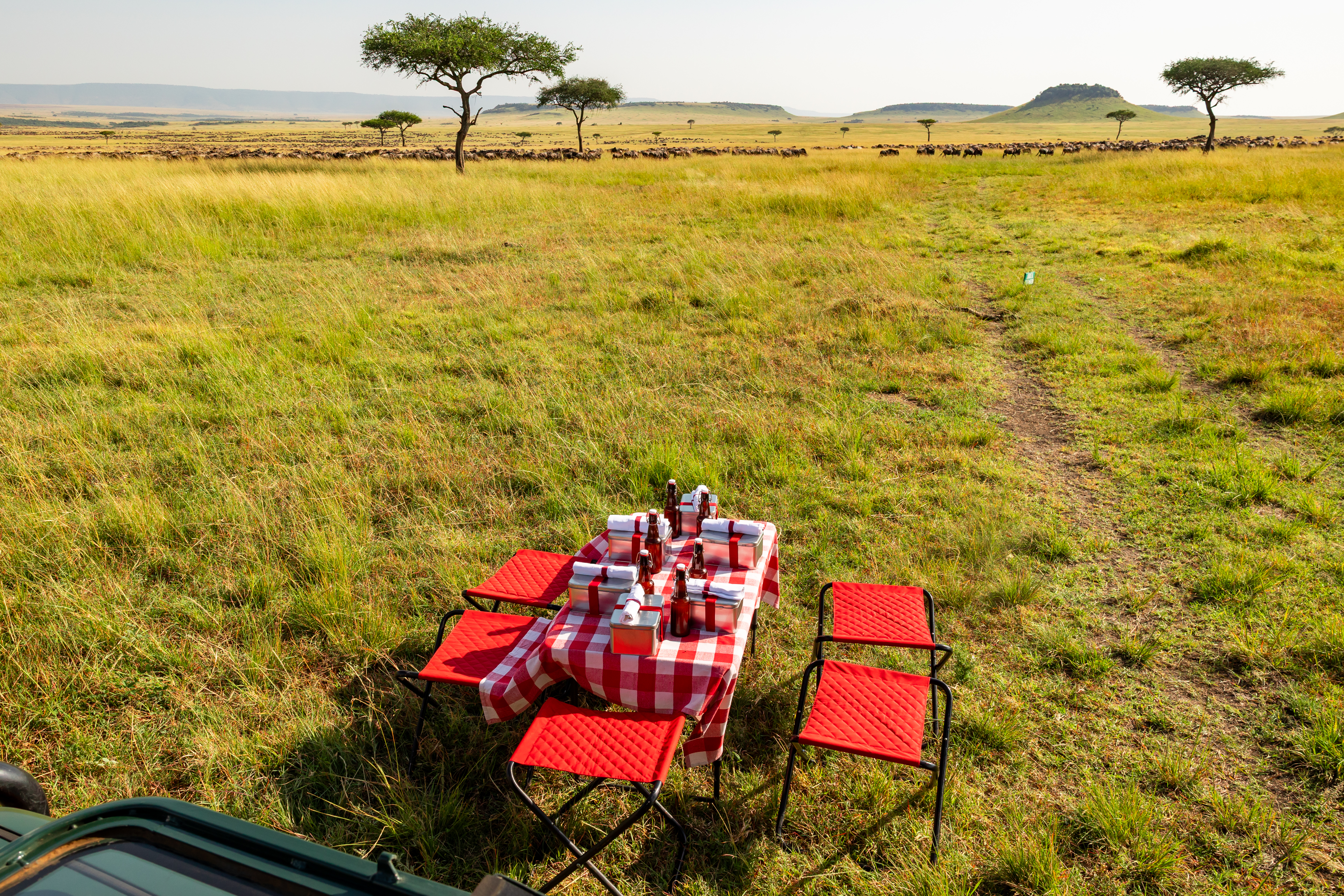 For a long day out picnics are prepared by the Chefs to be enjoyed near the herds
