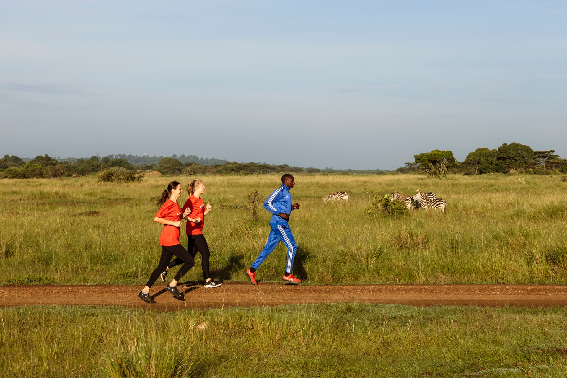 Bernard keeps your pace while you choose the distance