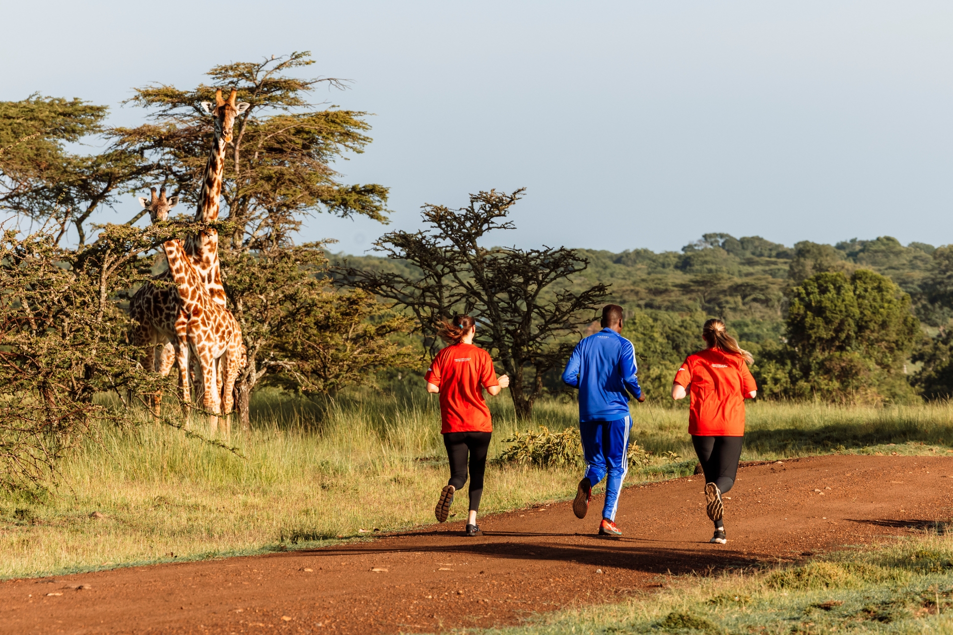 Not a route you will find on any running app