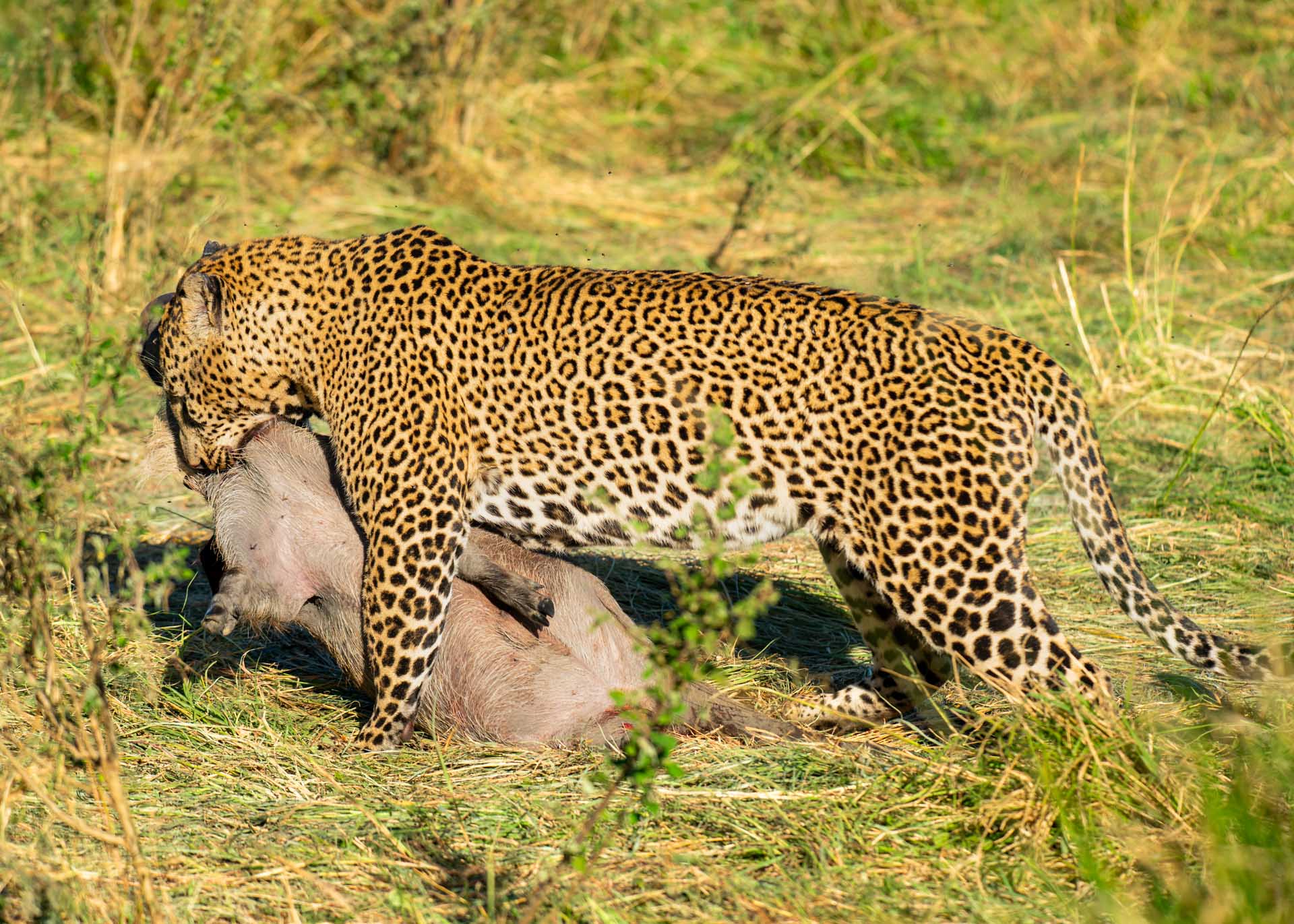 F5.6,1/1000, IS0320 | Arnold Omondi 